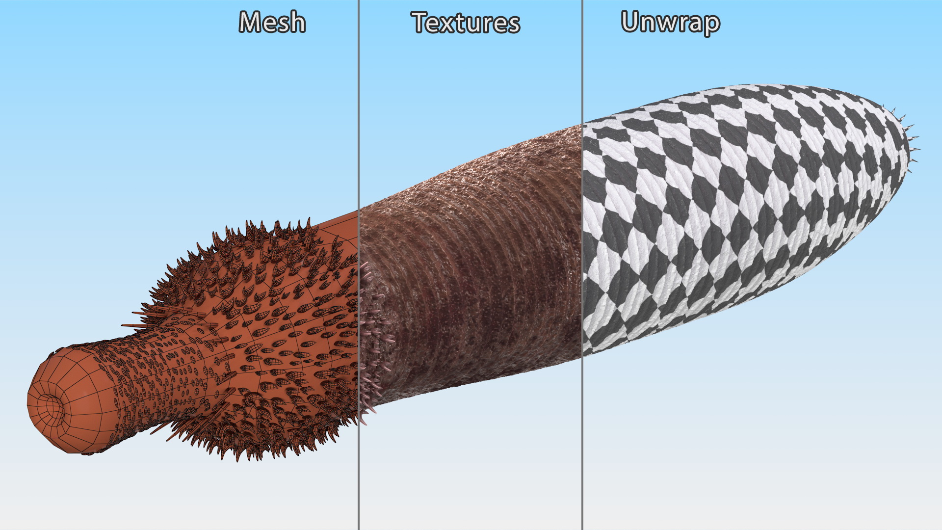 3D Ottoia Relict Marine Worm Rigged for Cinema 4D