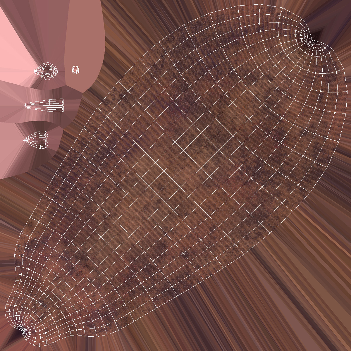 3D Ottoia Relict Marine Worm Rigged for Cinema 4D