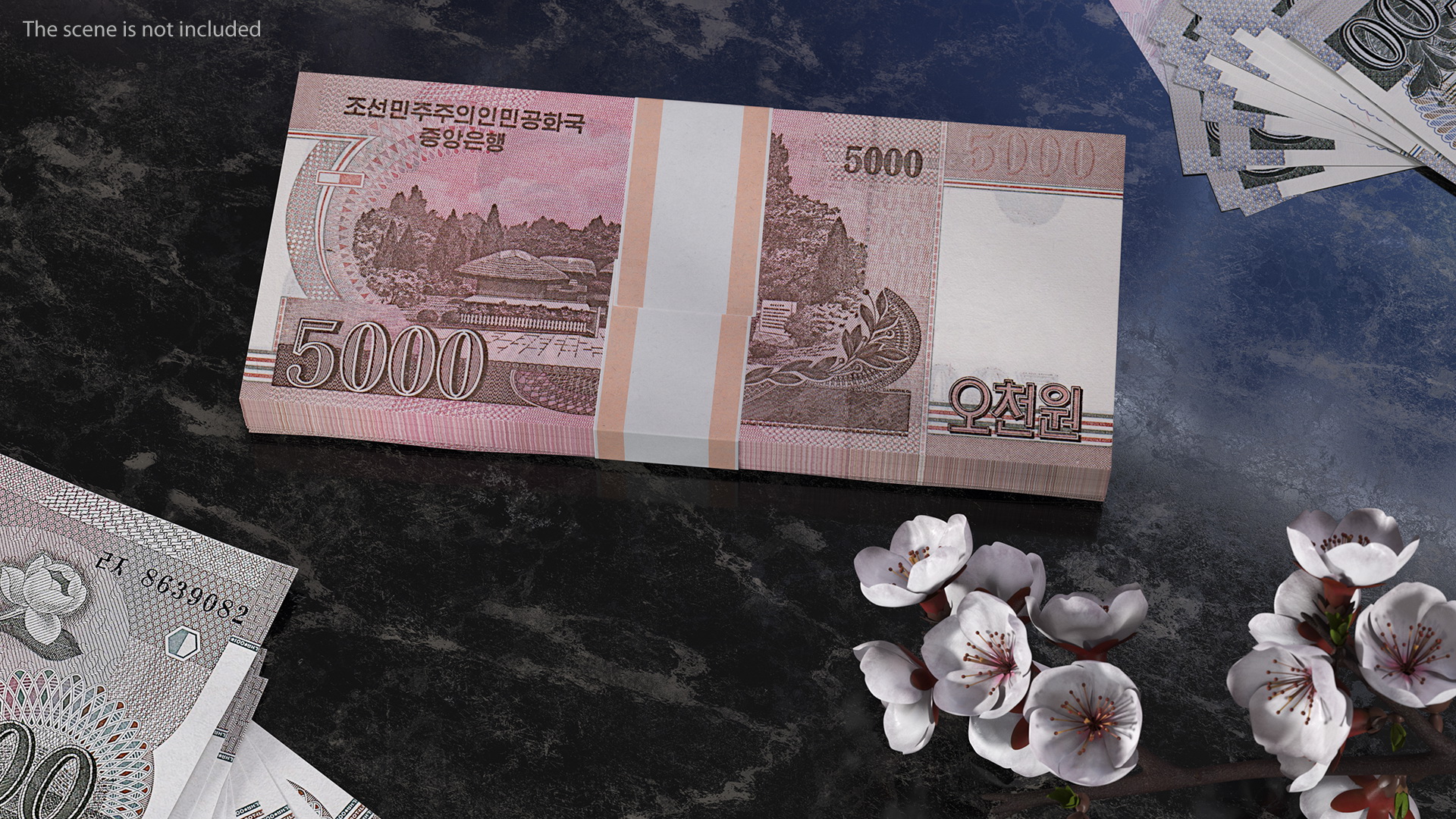 3D model North Korea 5000 Won Banknotes 2008 Pack