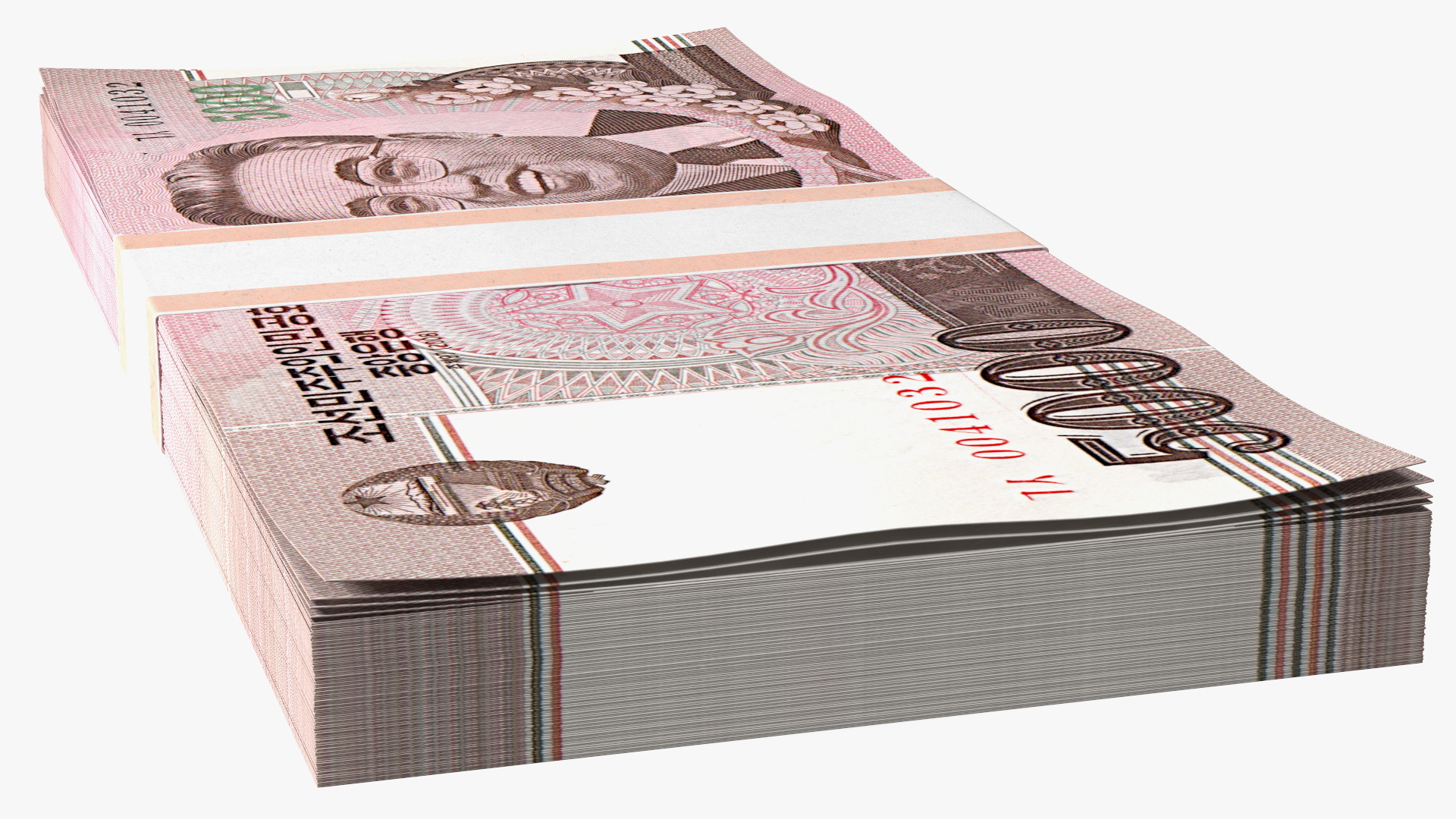3D model North Korea 5000 Won Banknotes 2008 Pack