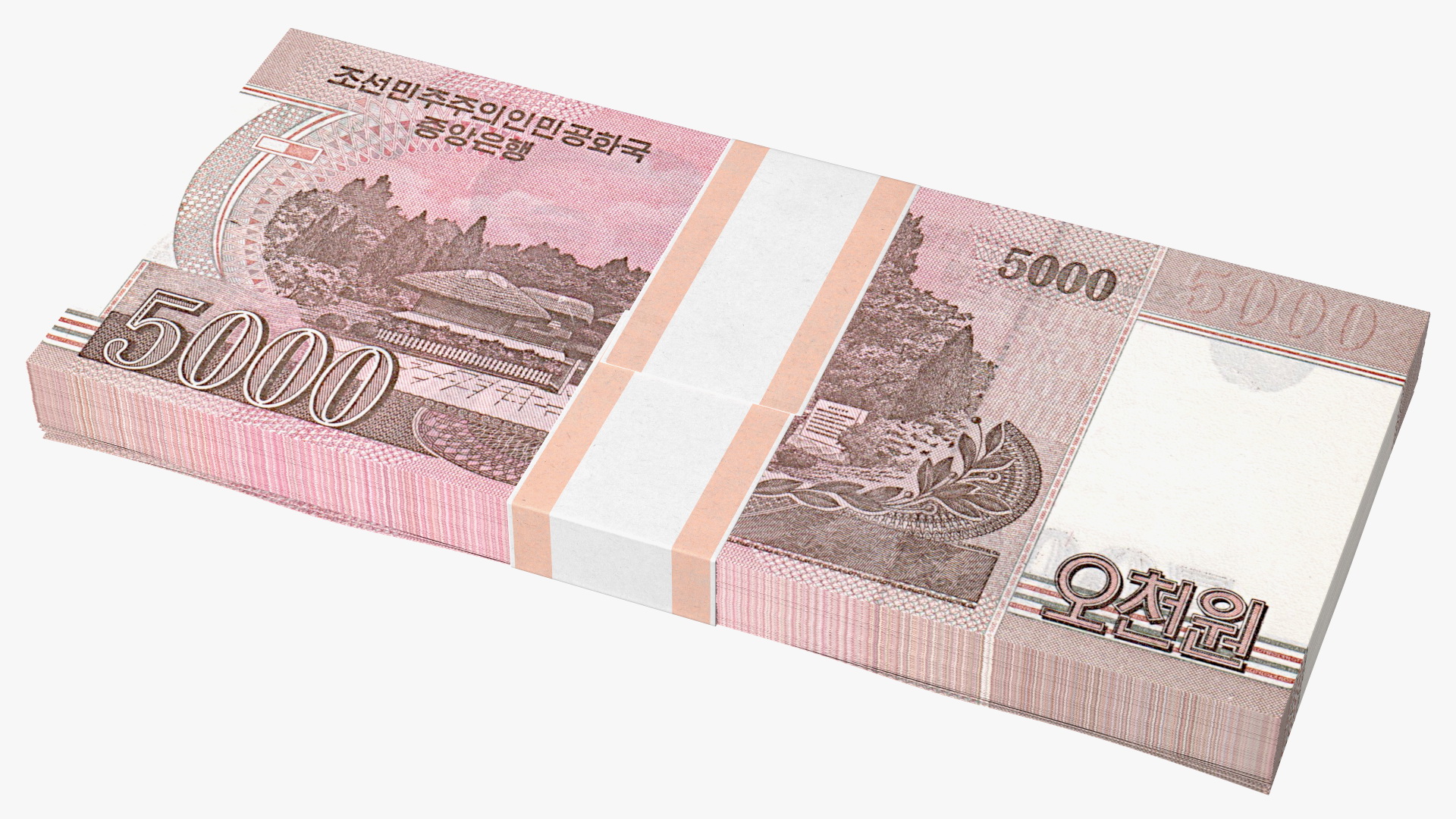 3D model North Korea 5000 Won Banknotes 2008 Pack