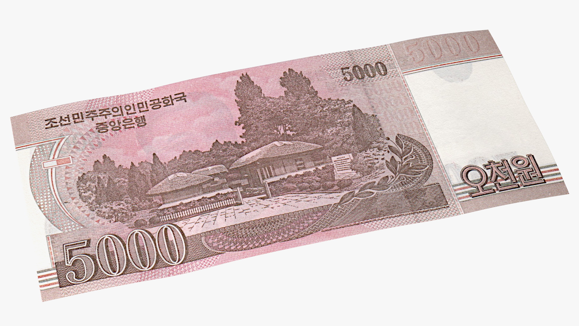 3D model North Korea 5000 Won Banknotes 2008 Pack