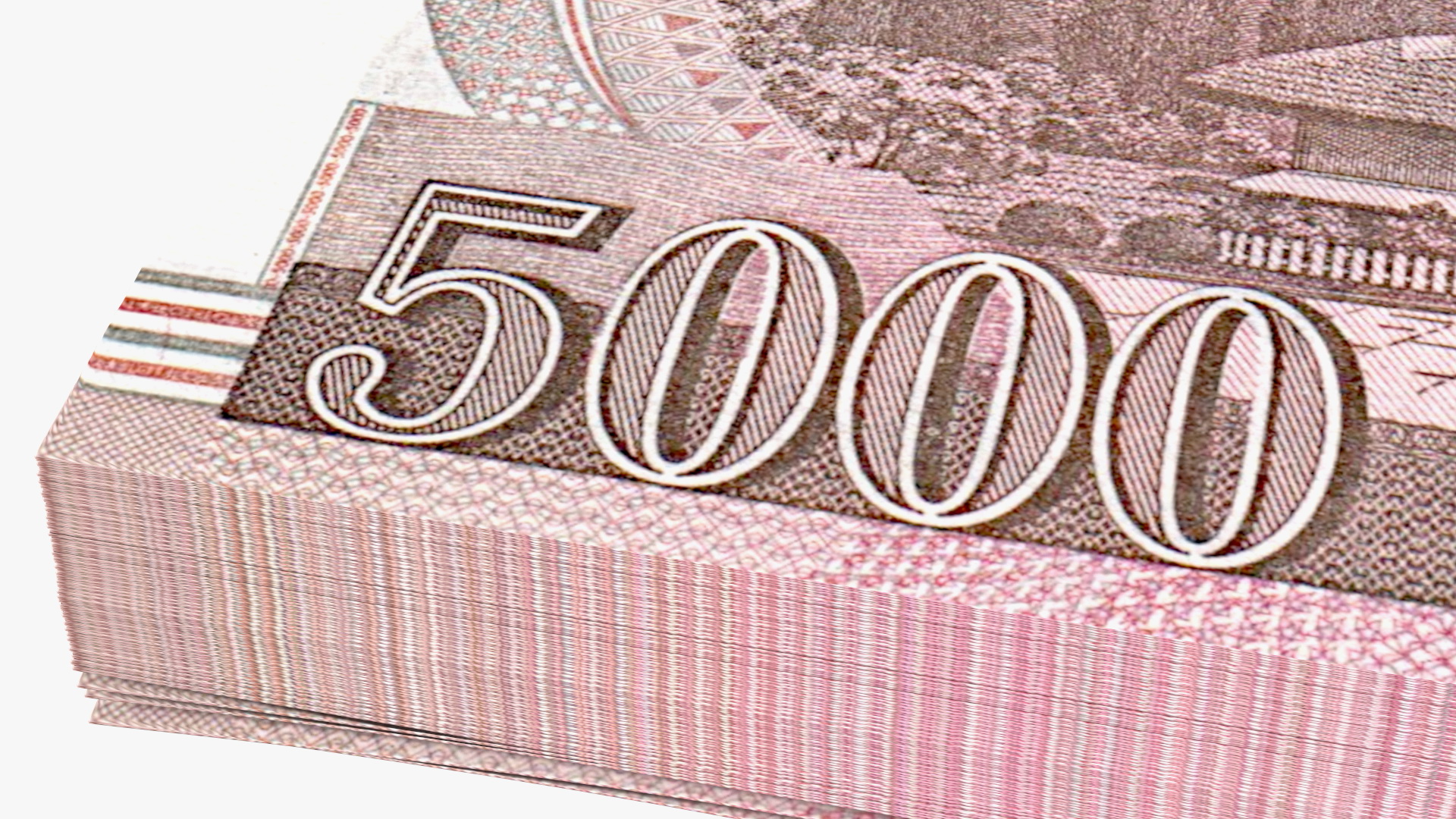 3D model North Korea 5000 Won Banknotes 2008 Pack