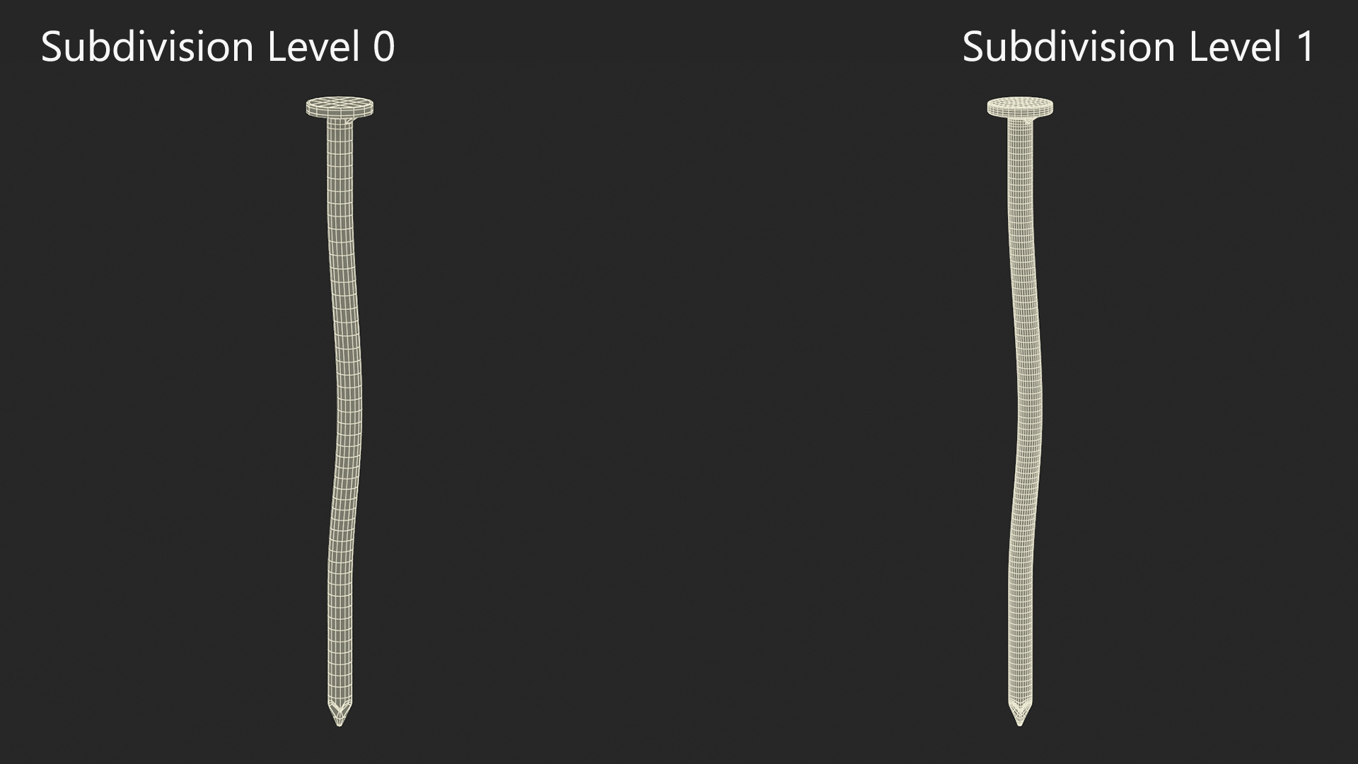 Pole Barn Nails Old 3D model