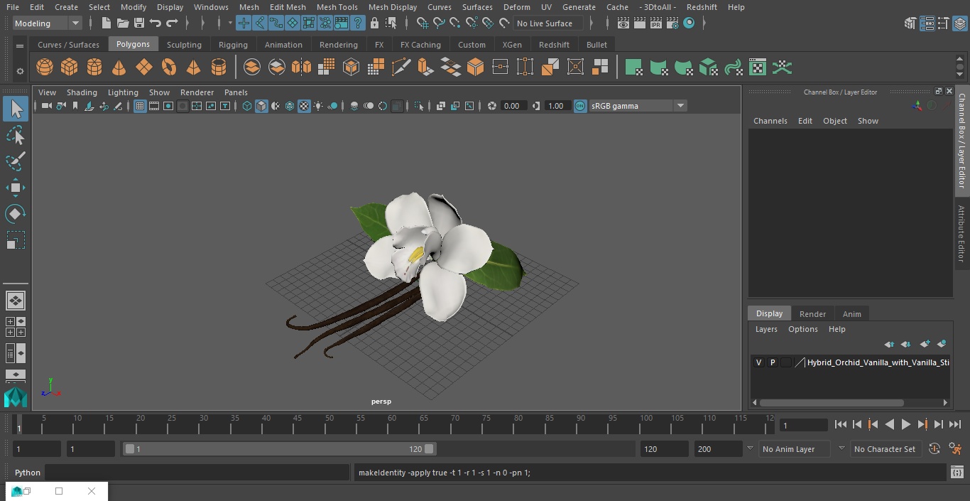 3D Hybrid Orchid Vanilla with Vanilla Sticks