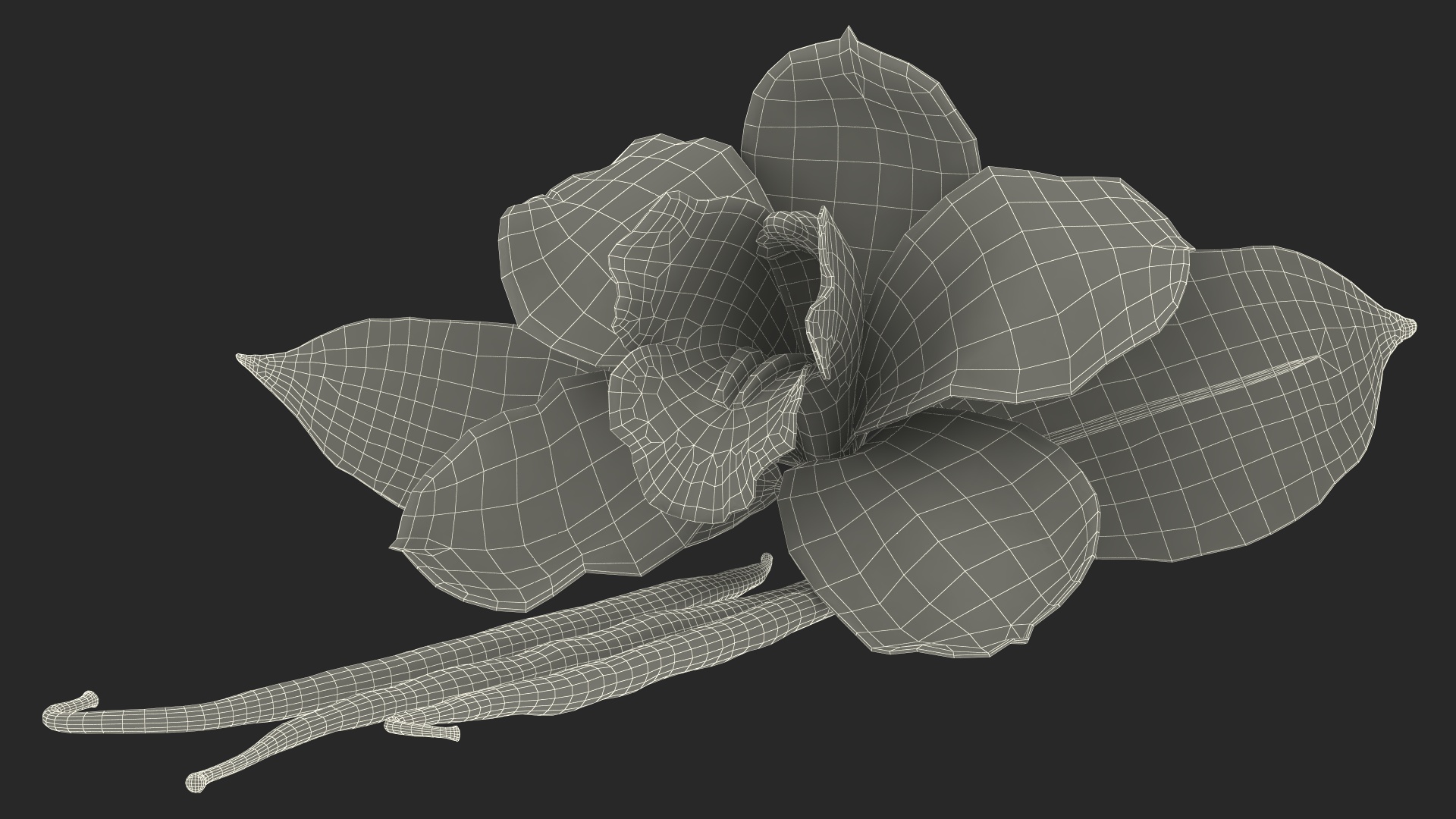 3D Hybrid Orchid Vanilla with Vanilla Sticks