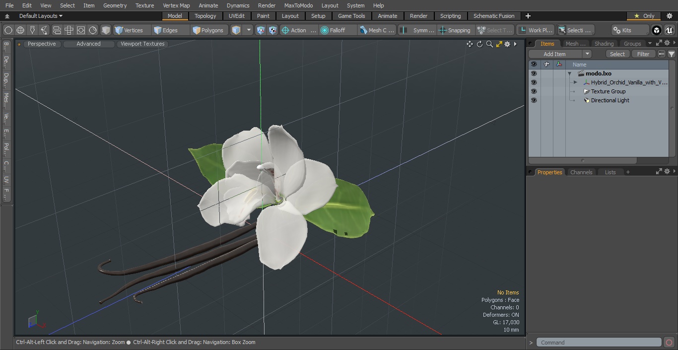 3D Hybrid Orchid Vanilla with Vanilla Sticks