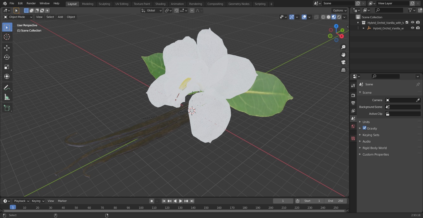 3D Hybrid Orchid Vanilla with Vanilla Sticks