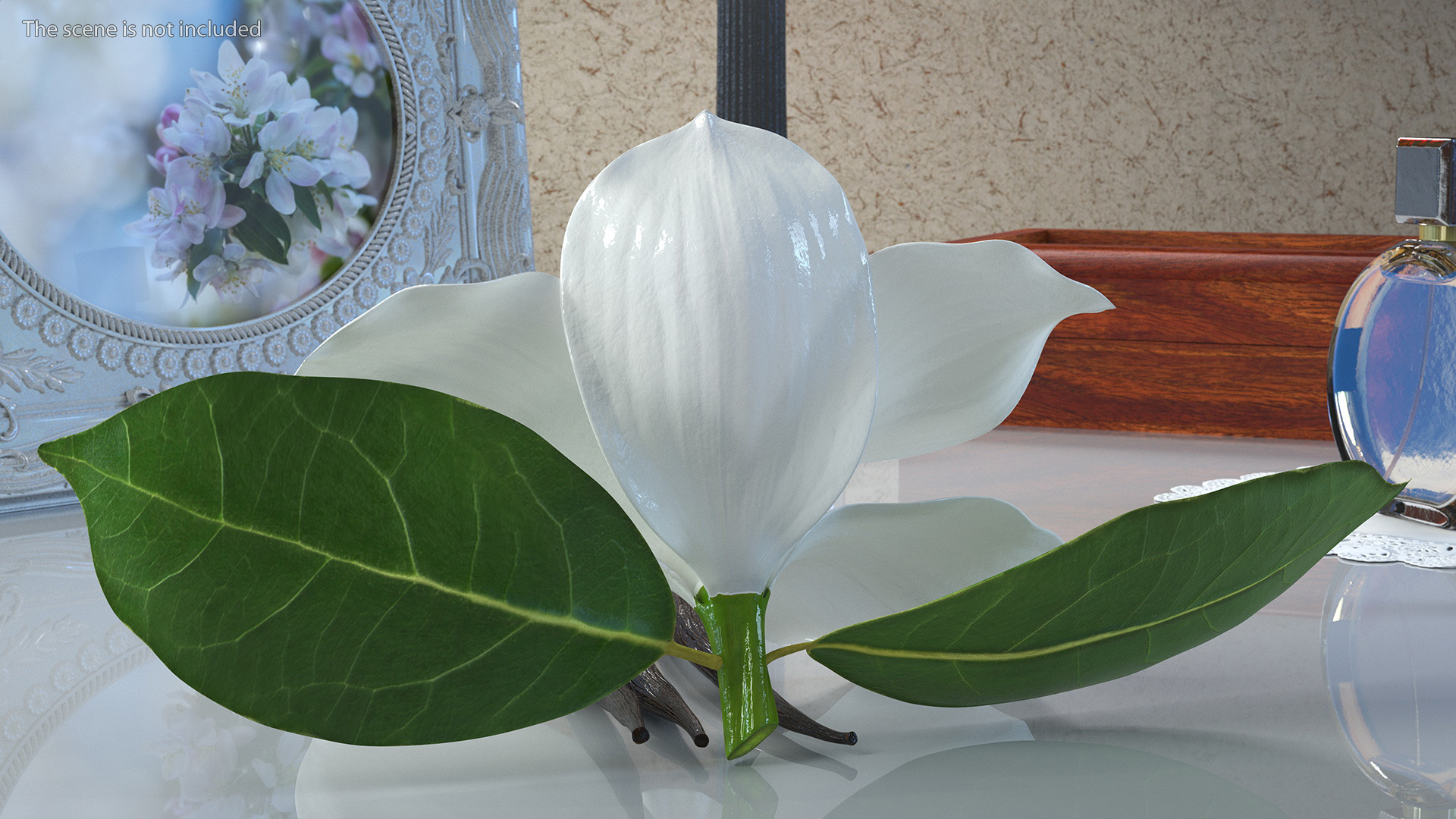 3D Hybrid Orchid Vanilla with Vanilla Sticks