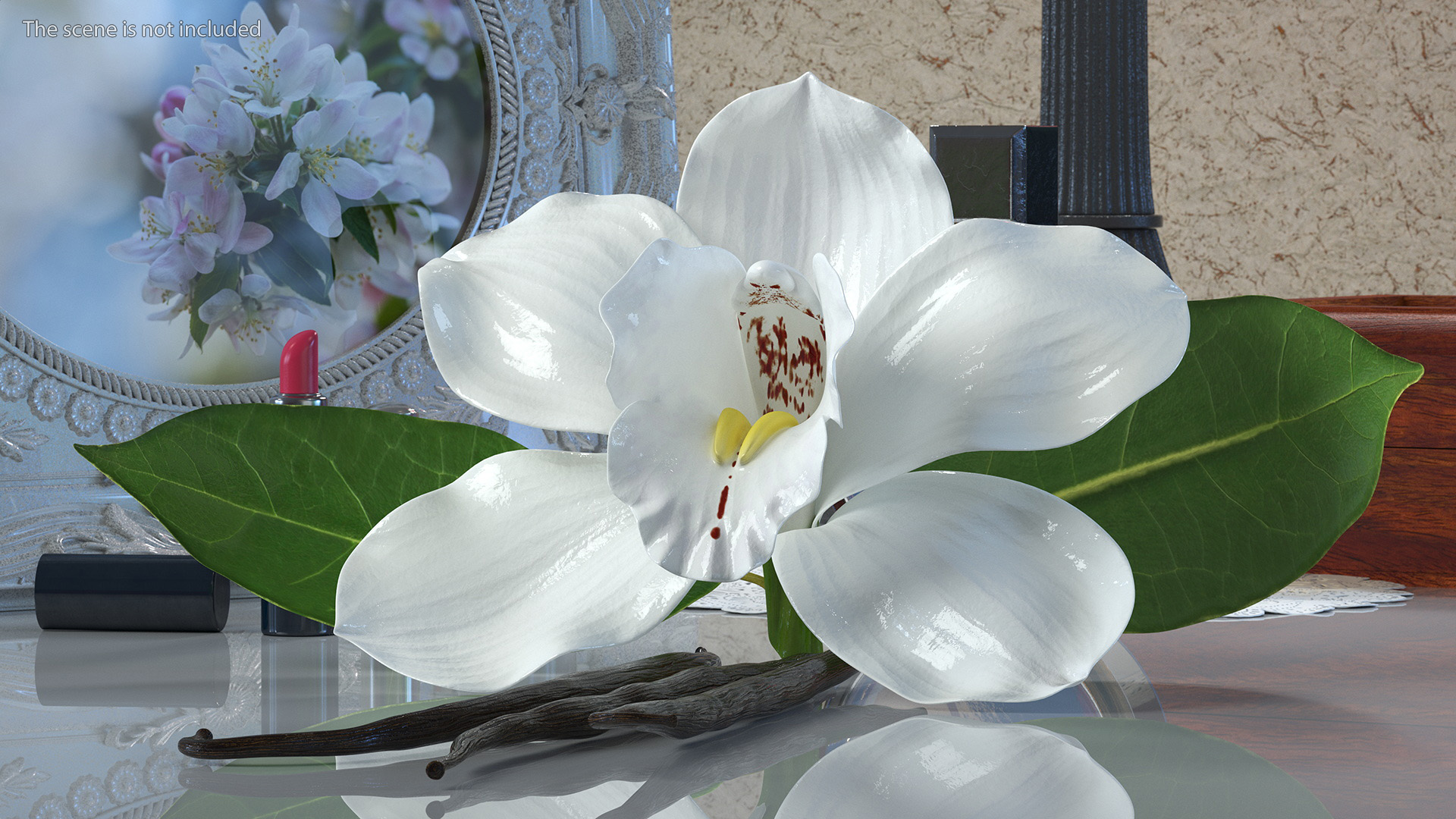 3D Hybrid Orchid Vanilla with Vanilla Sticks