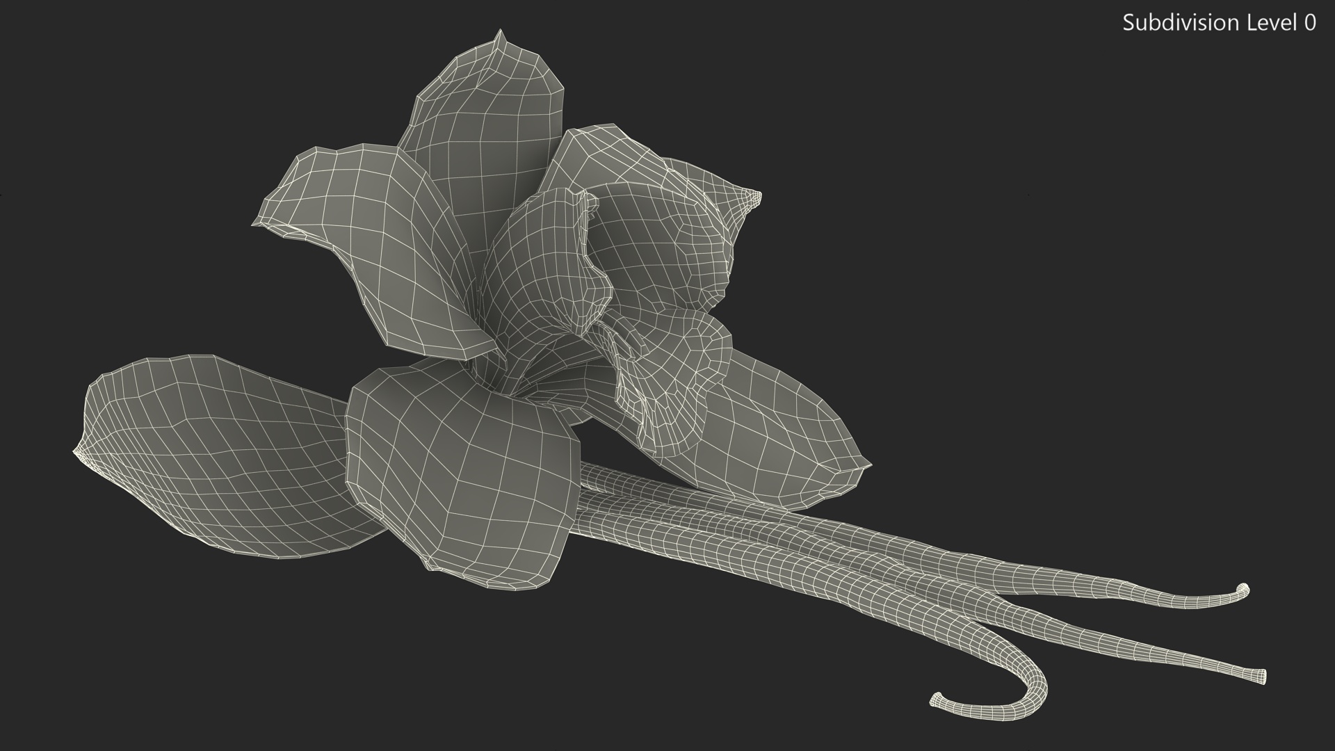 3D Hybrid Orchid Vanilla with Vanilla Sticks