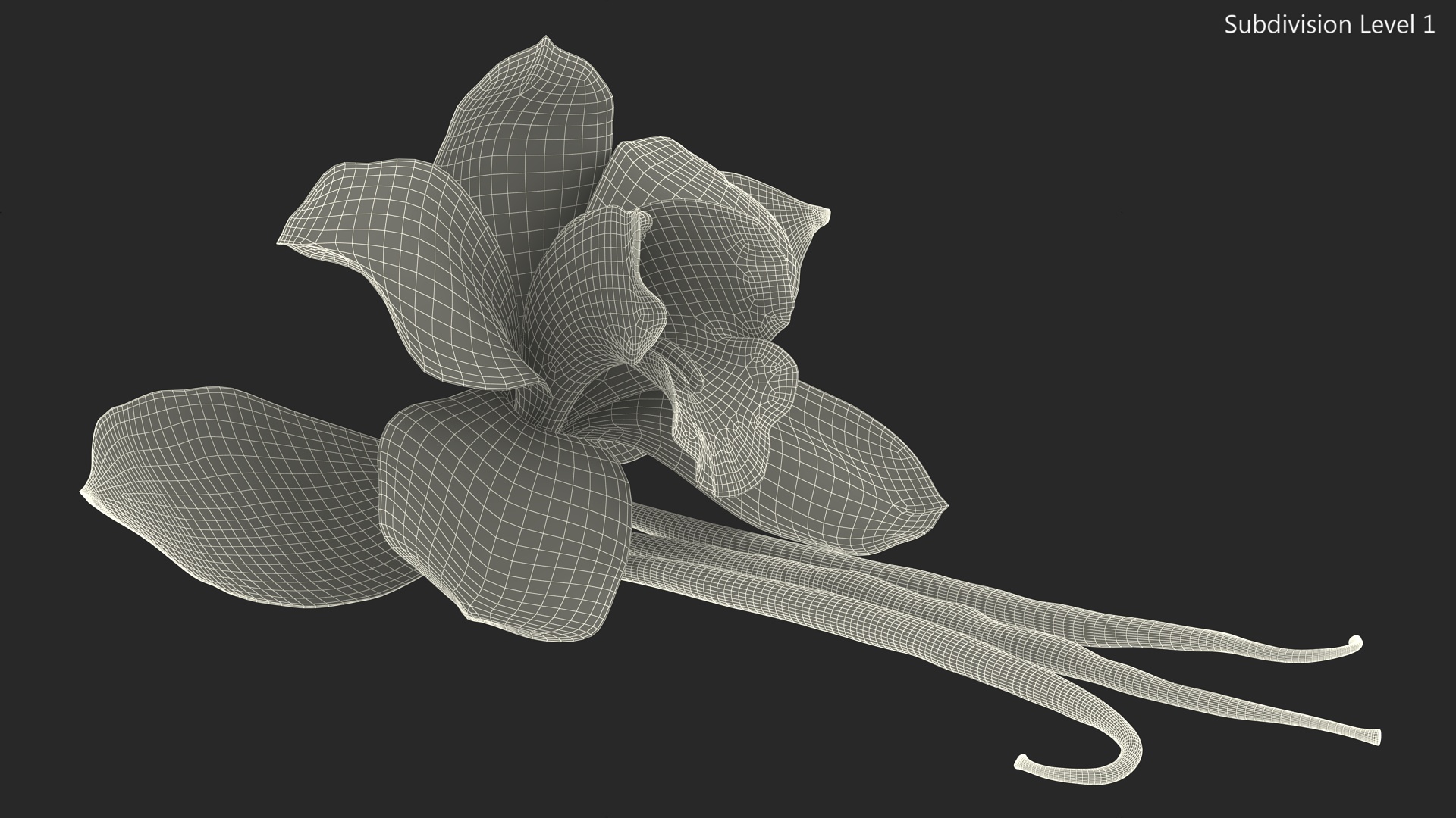 3D Hybrid Orchid Vanilla with Vanilla Sticks