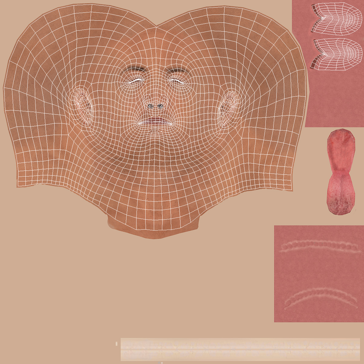 3D model Skier Head in Helmet