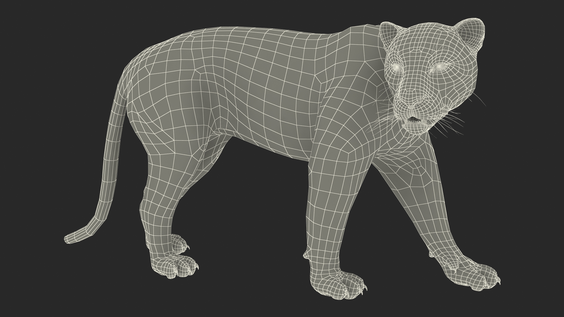 3D model Black Panther Walking Pose Fur