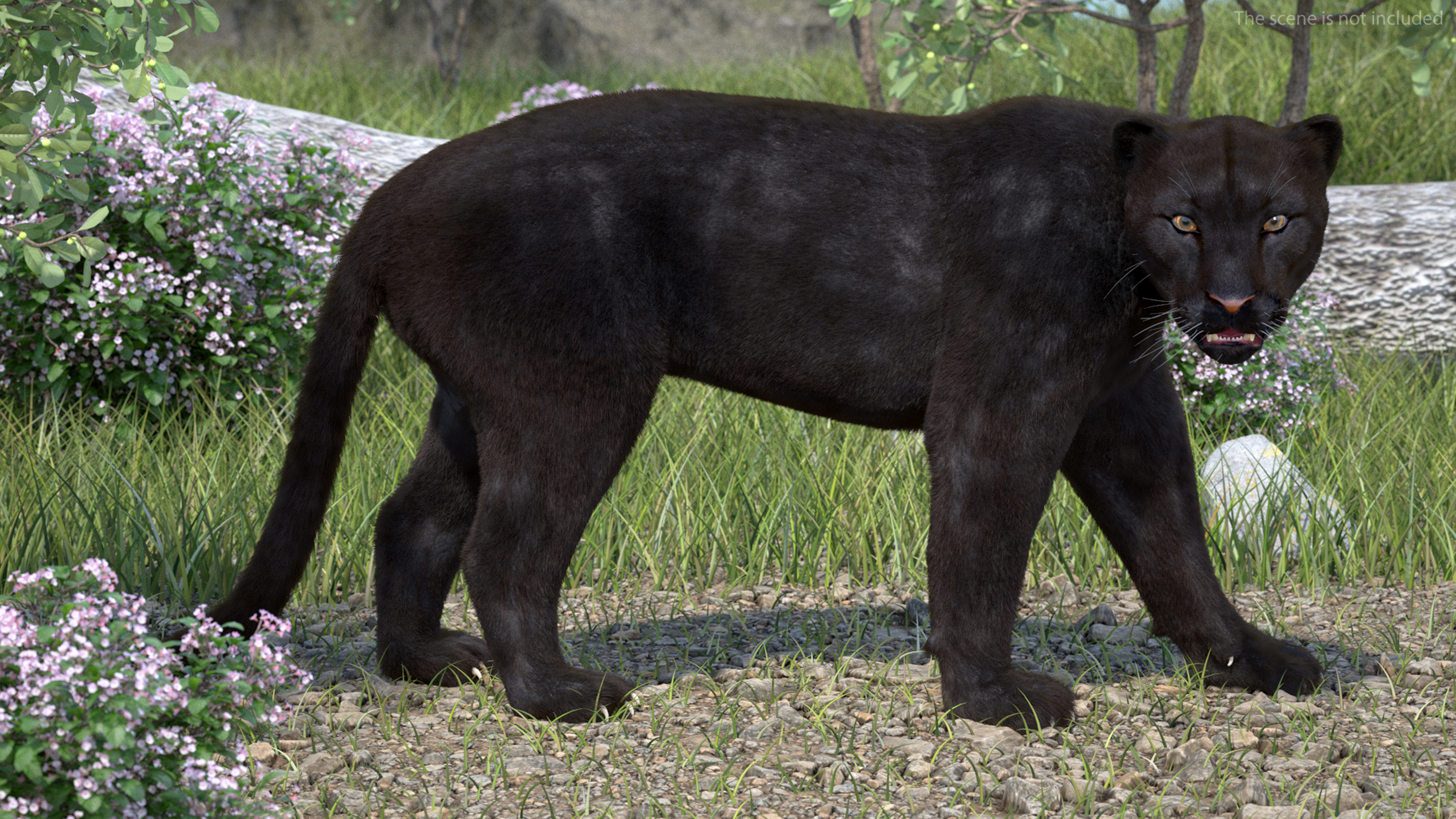 3D model Black Panther Walking Pose Fur
