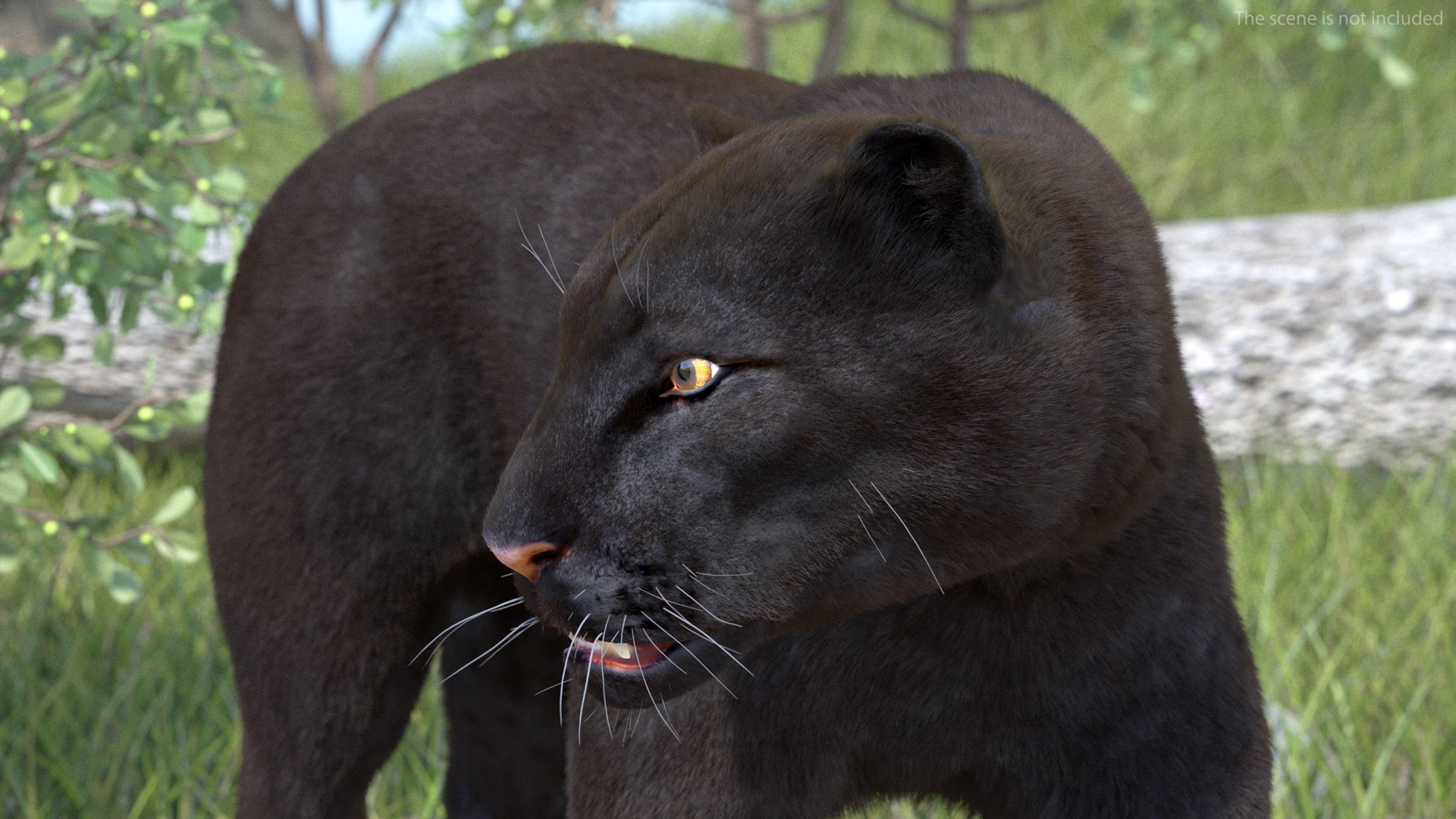 3D model Black Panther Walking Pose Fur