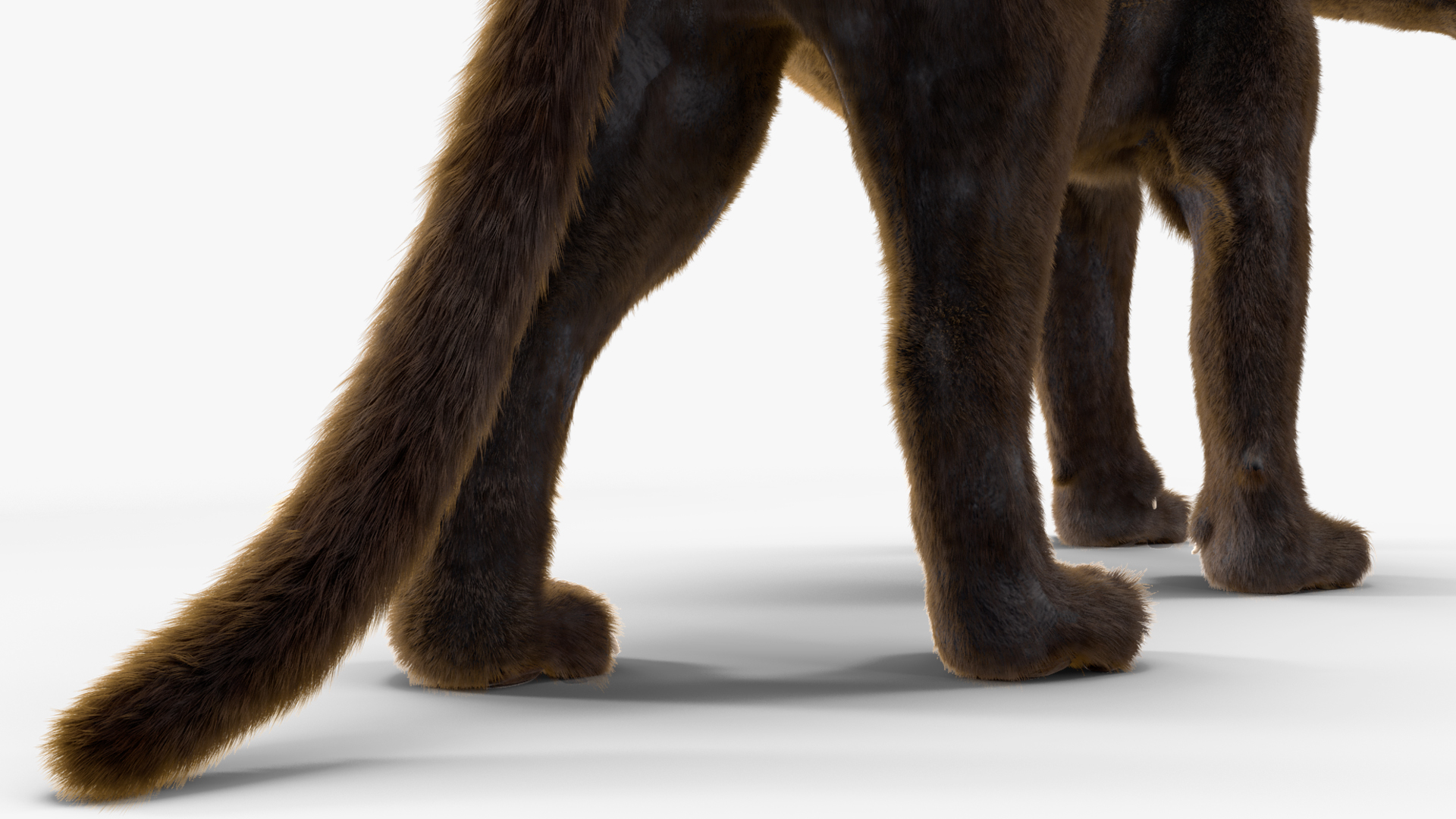 3D model Black Panther Walking Pose Fur