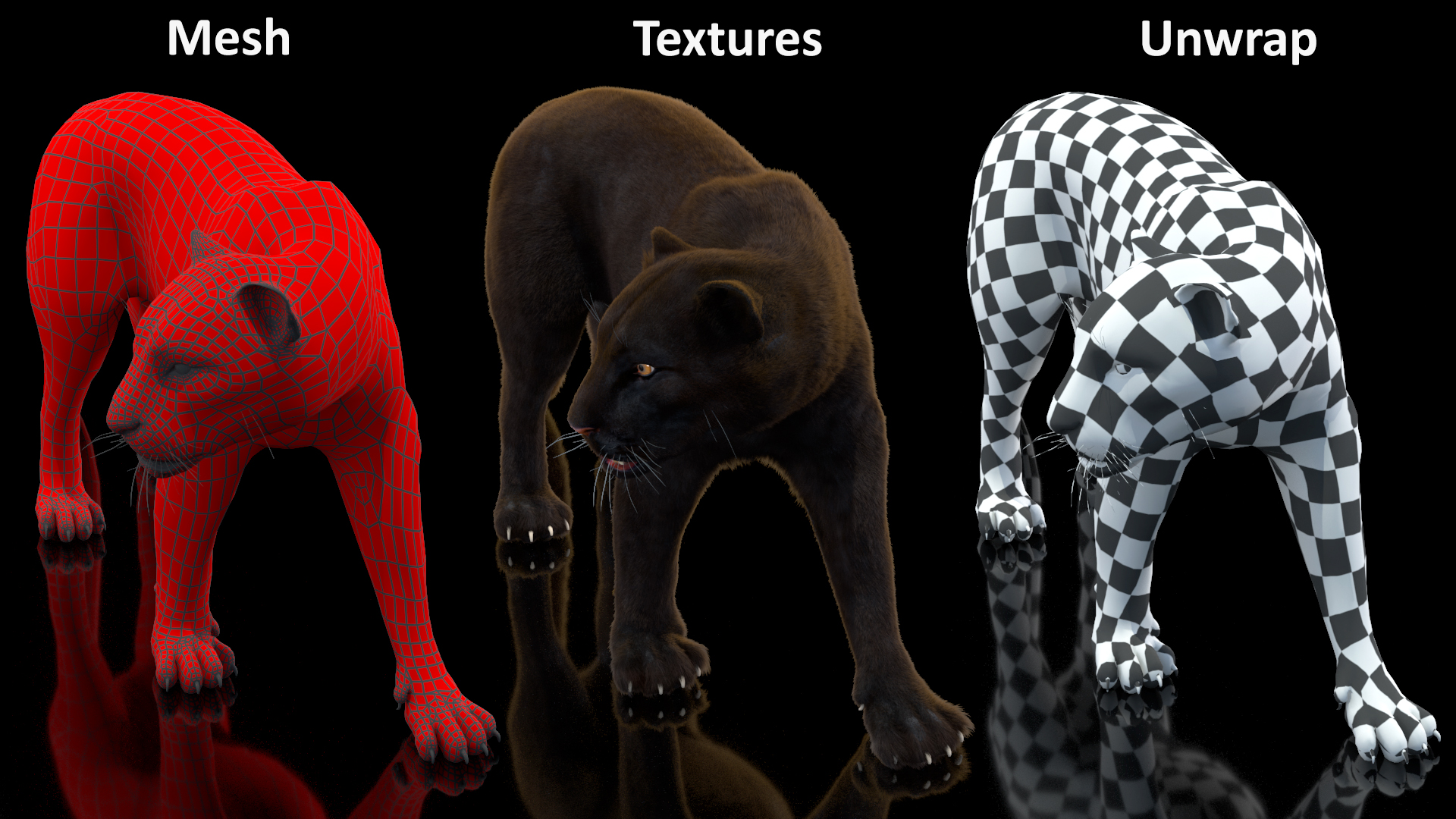 3D model Black Panther Walking Pose Fur