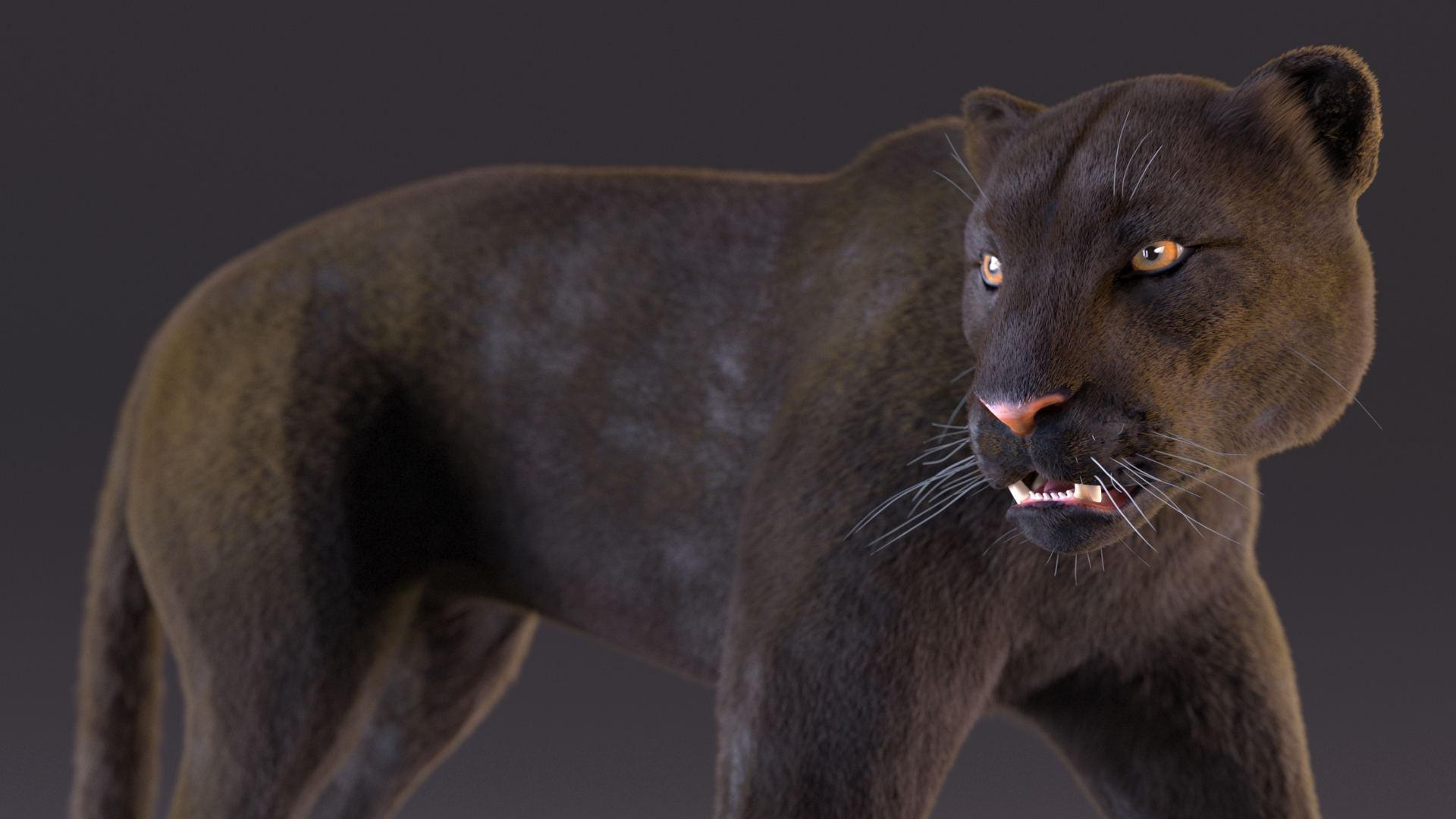 3D model Black Panther Walking Pose Fur