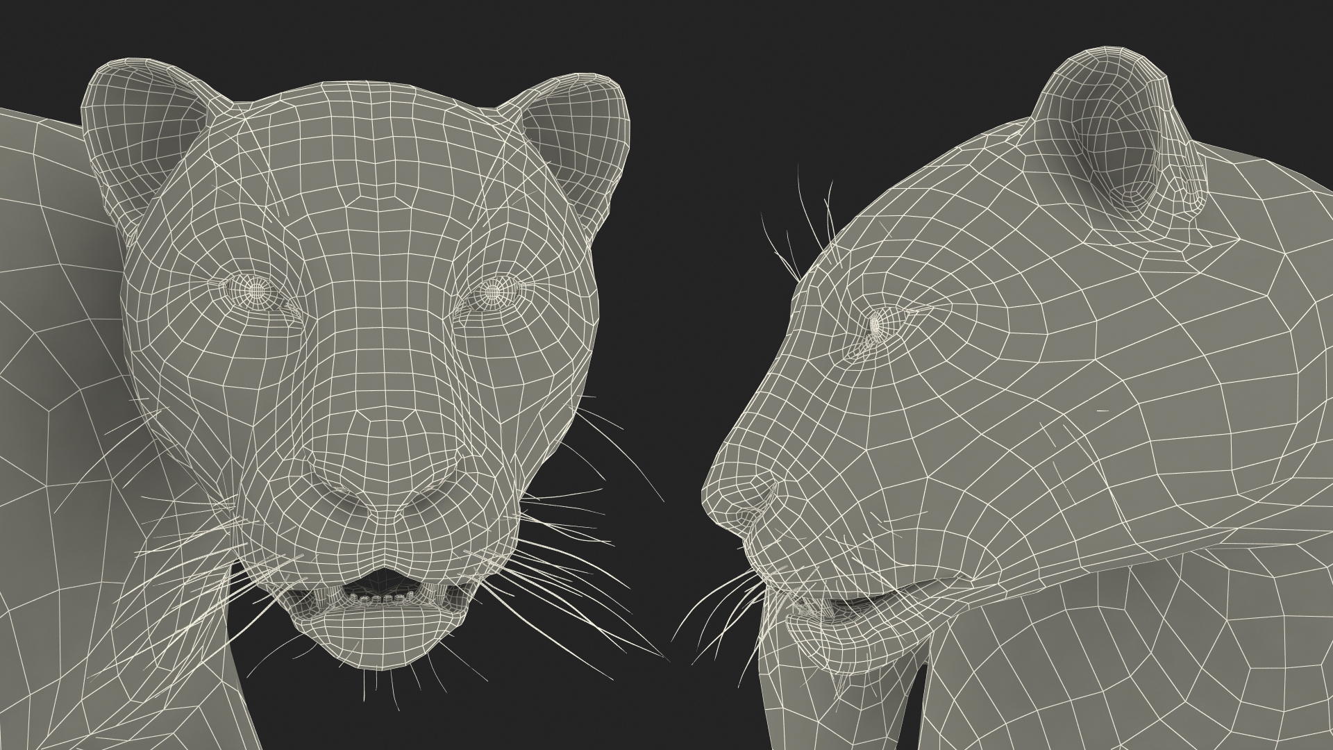 3D model Black Panther Walking Pose Fur