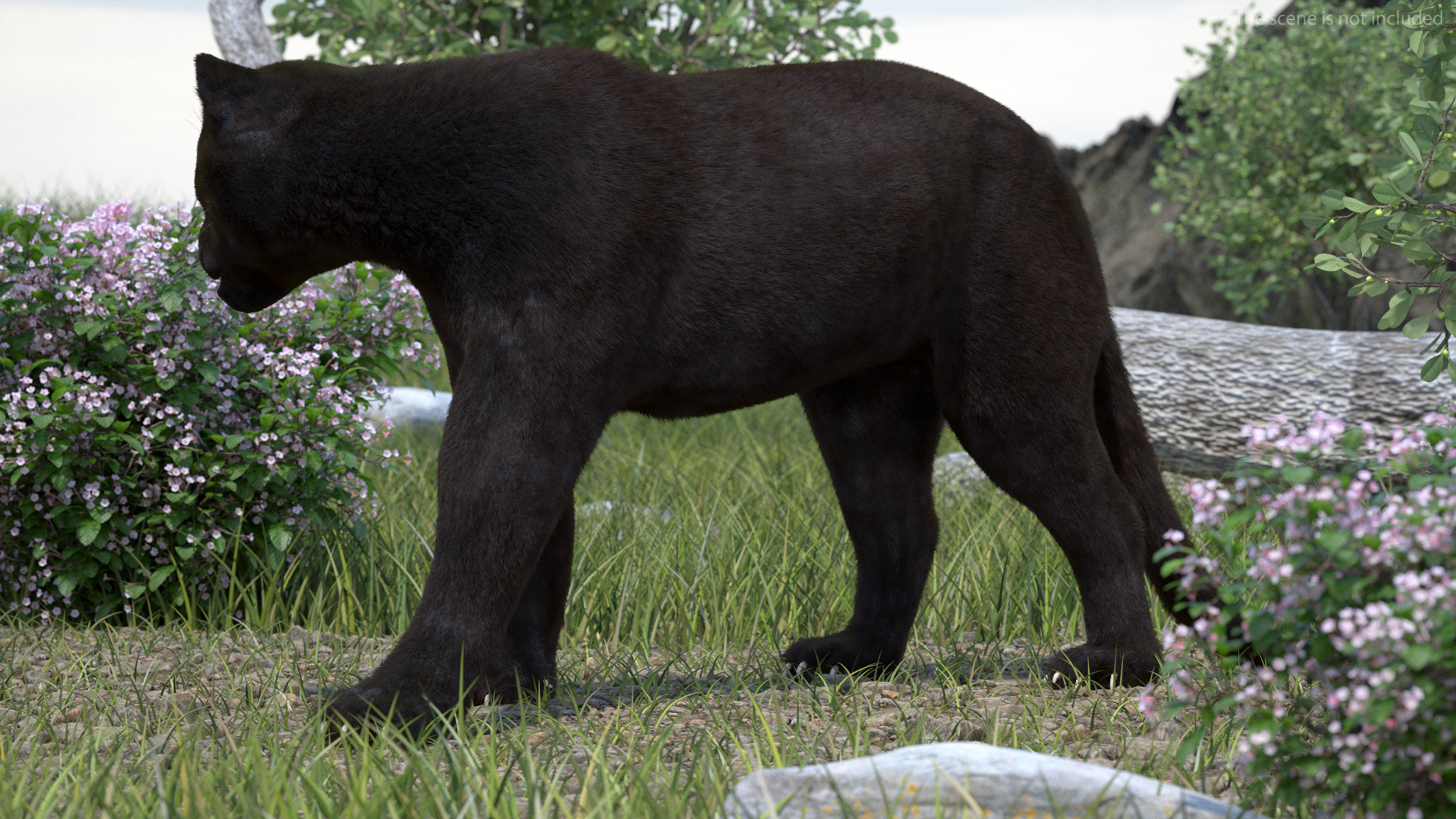 3D model Black Panther Walking Pose Fur