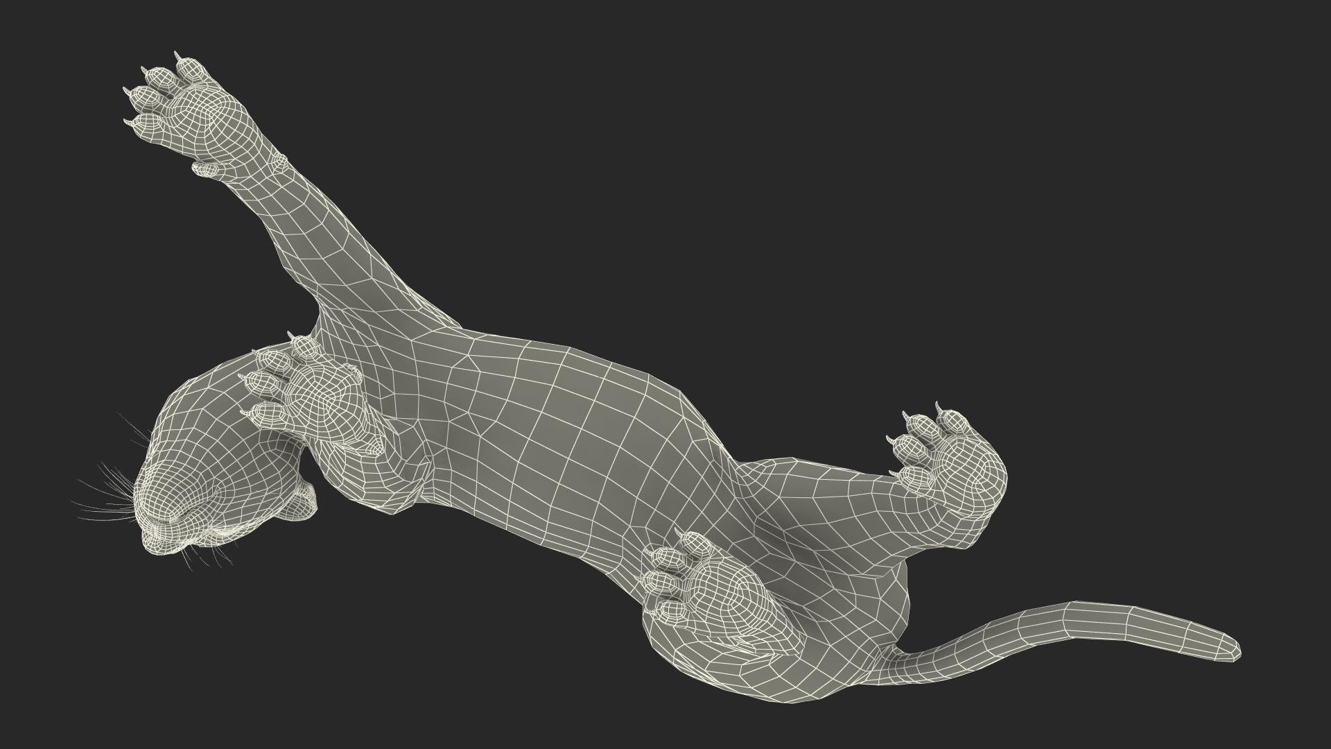3D model Black Panther Walking Pose Fur