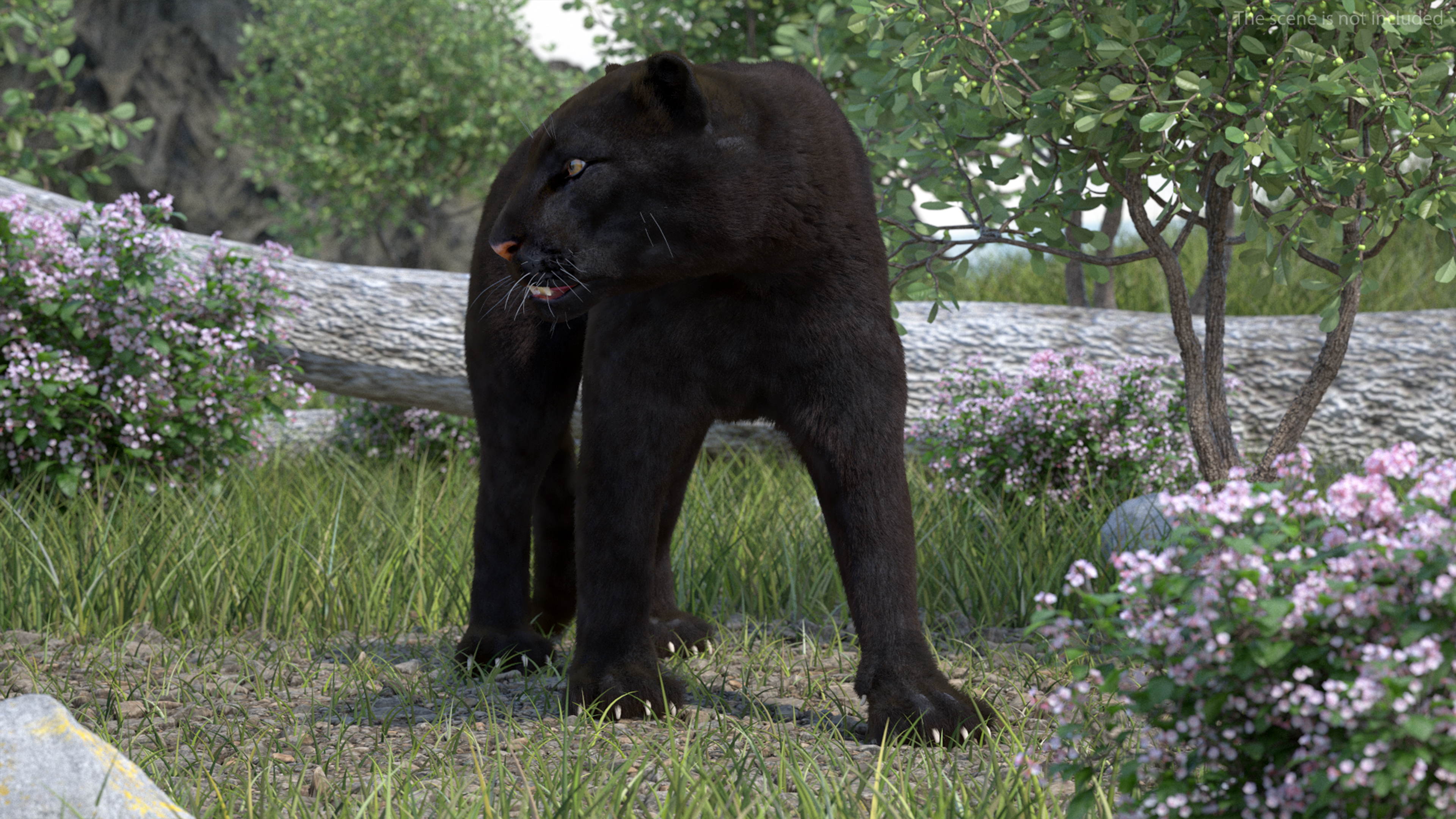 3D model Black Panther Walking Pose Fur
