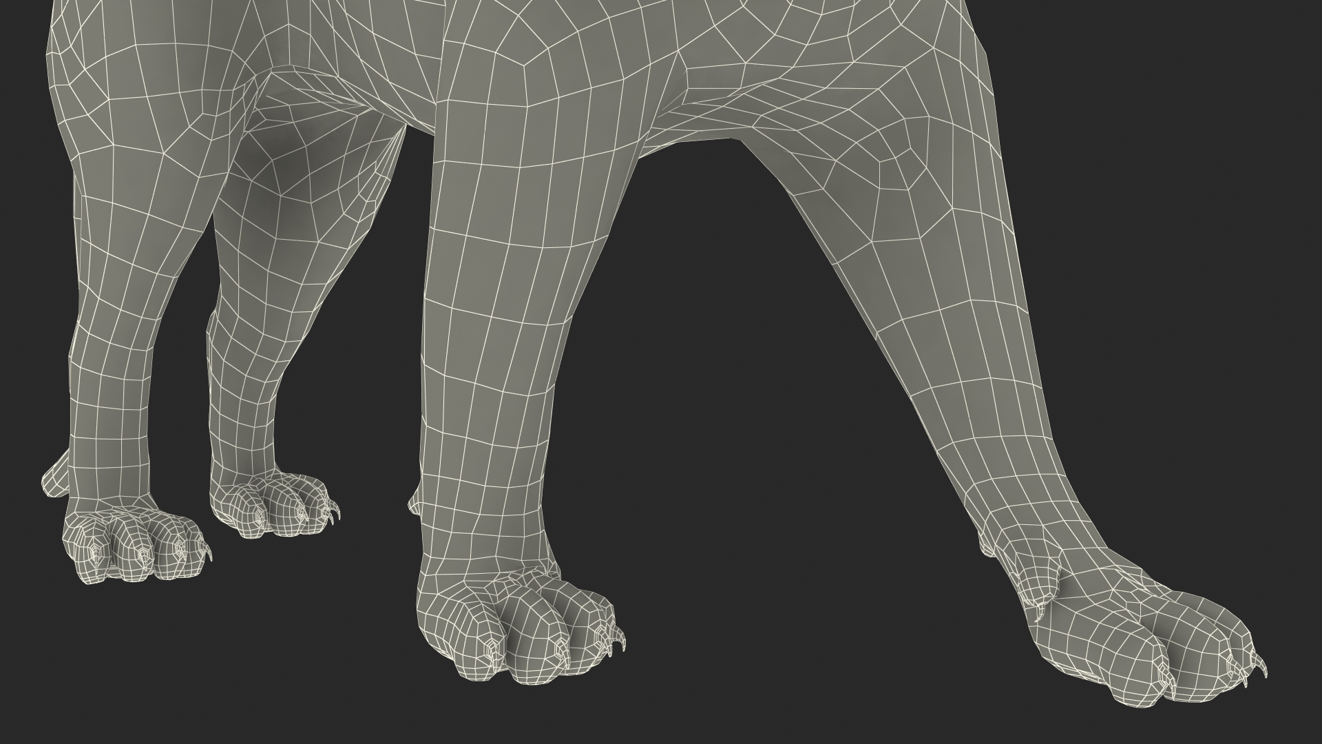 3D model Black Panther Walking Pose Fur