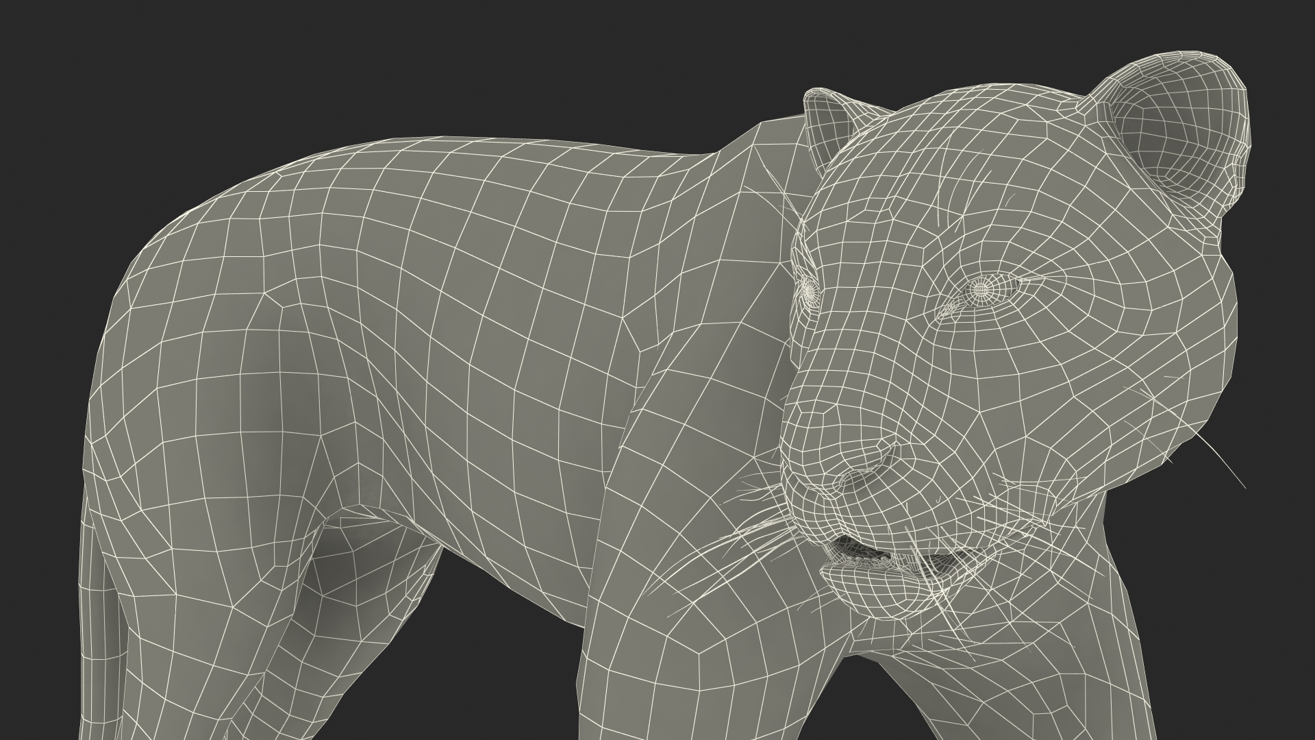 3D model Black Panther Walking Pose Fur