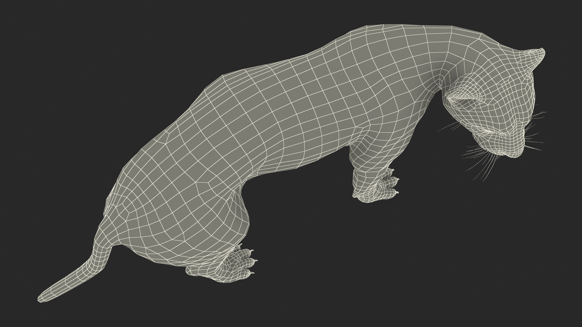 3D model Black Panther Walking Pose Fur