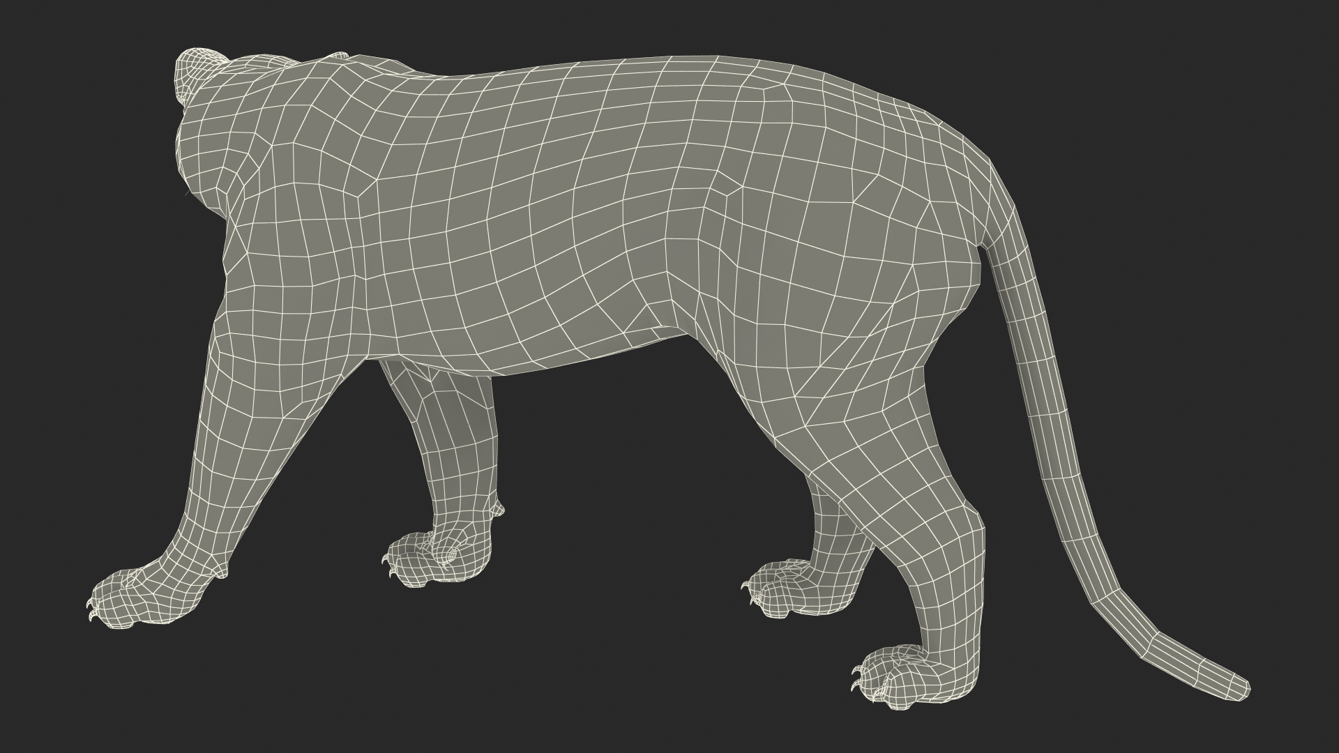 3D model Black Panther Walking Pose Fur