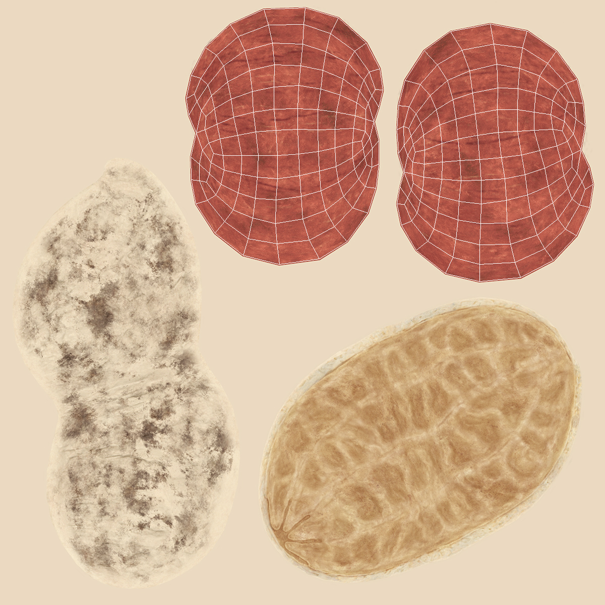 Peeled Peanuts 3D model