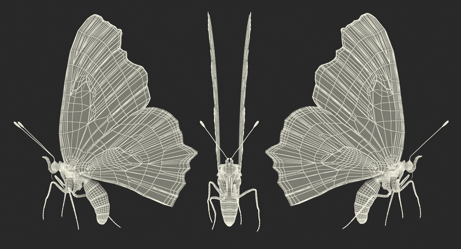 3D Aglais io Butterfly Flying Pose