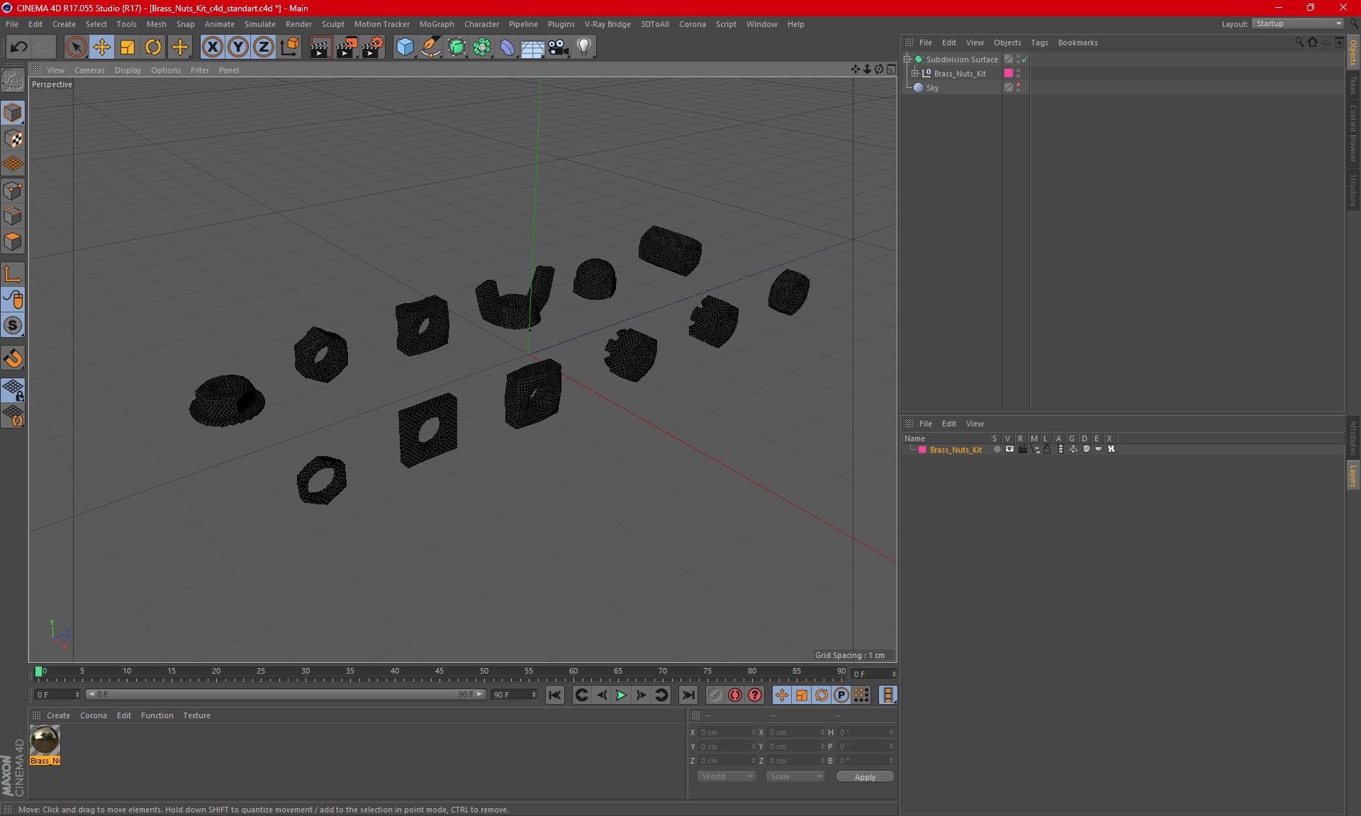 Brass Nuts Kit 3D model