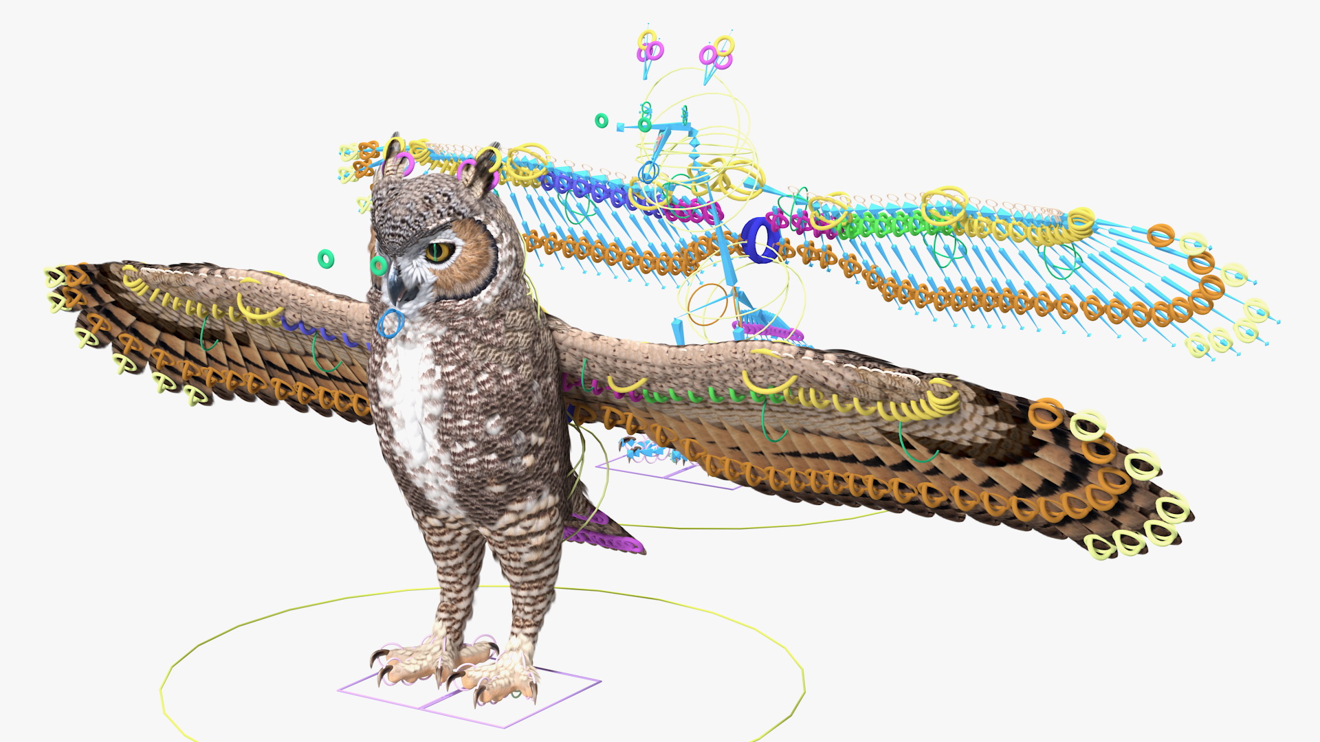 3D Great Horned Owl Rigged model
