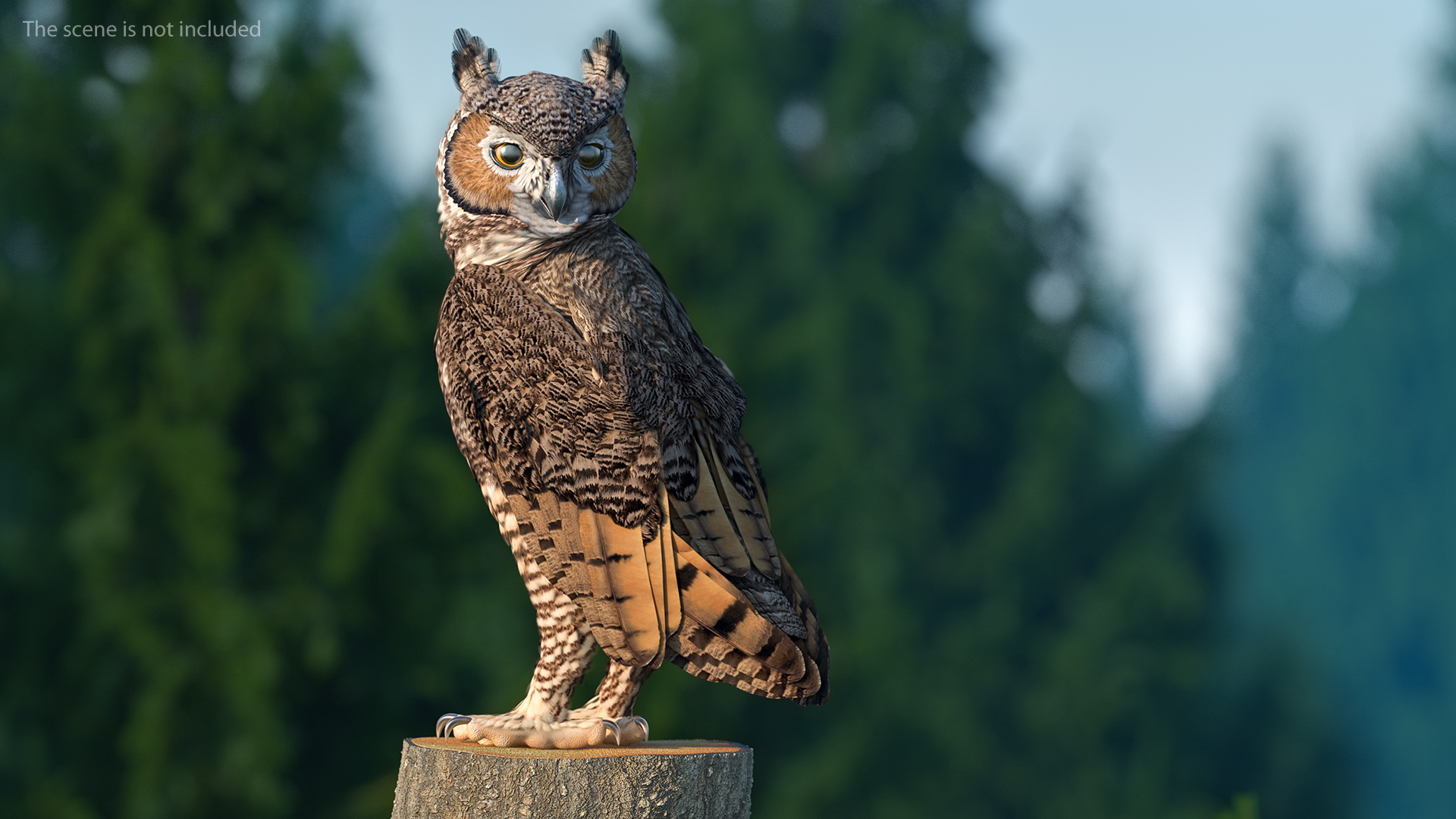 3D Great Horned Owl Rigged model