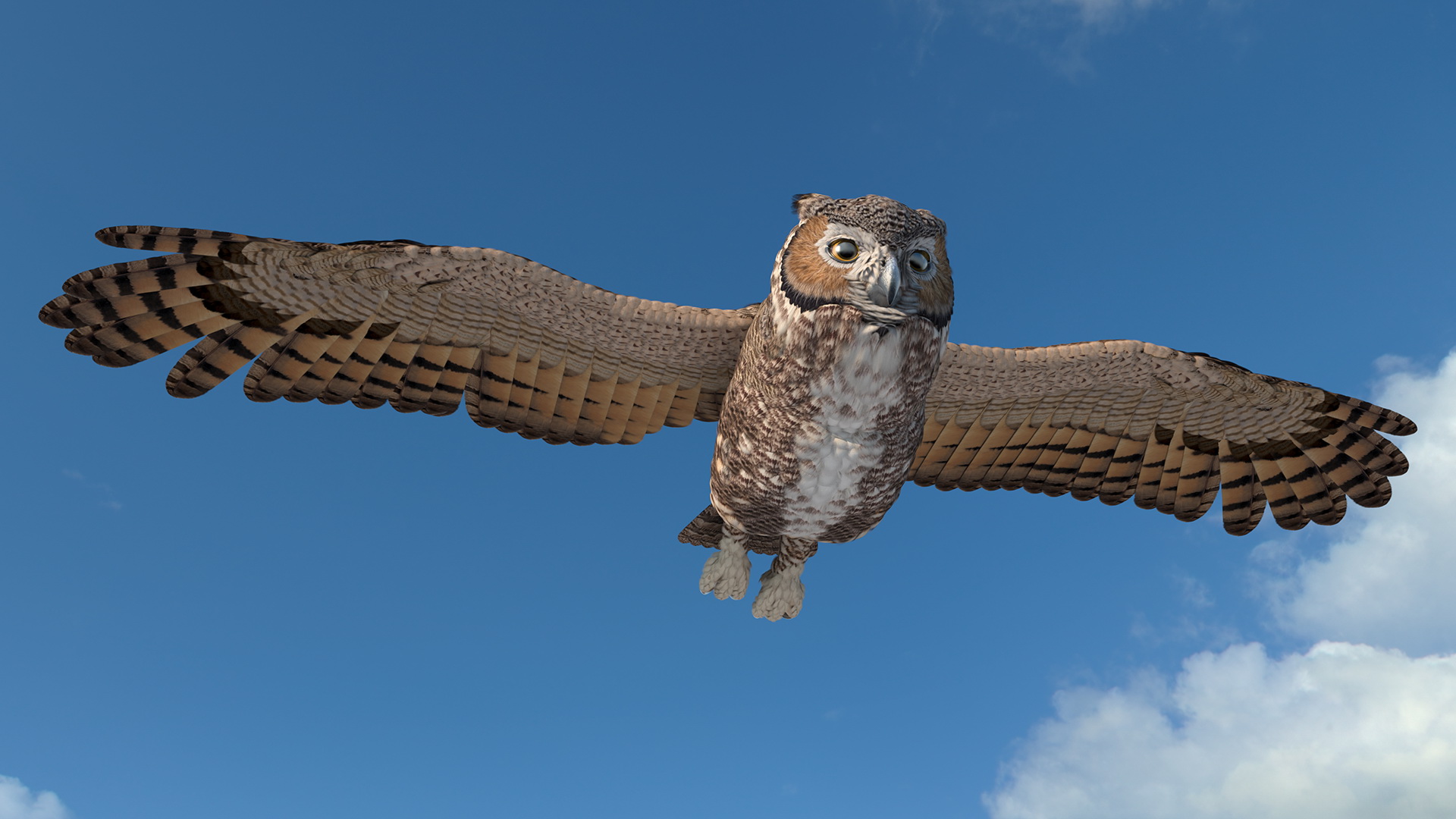 3D Great Horned Owl Rigged model