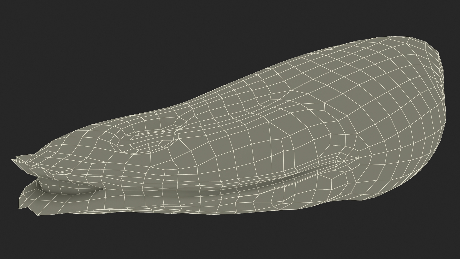 3D Boiled Mussel Meat model