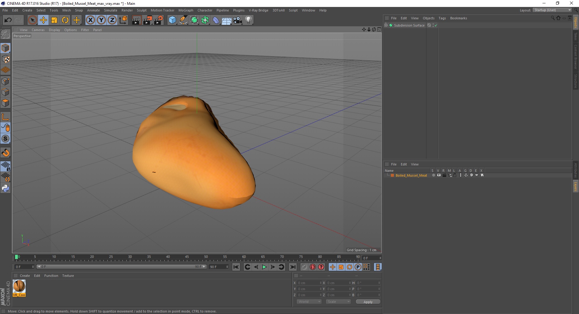3D Boiled Mussel Meat model