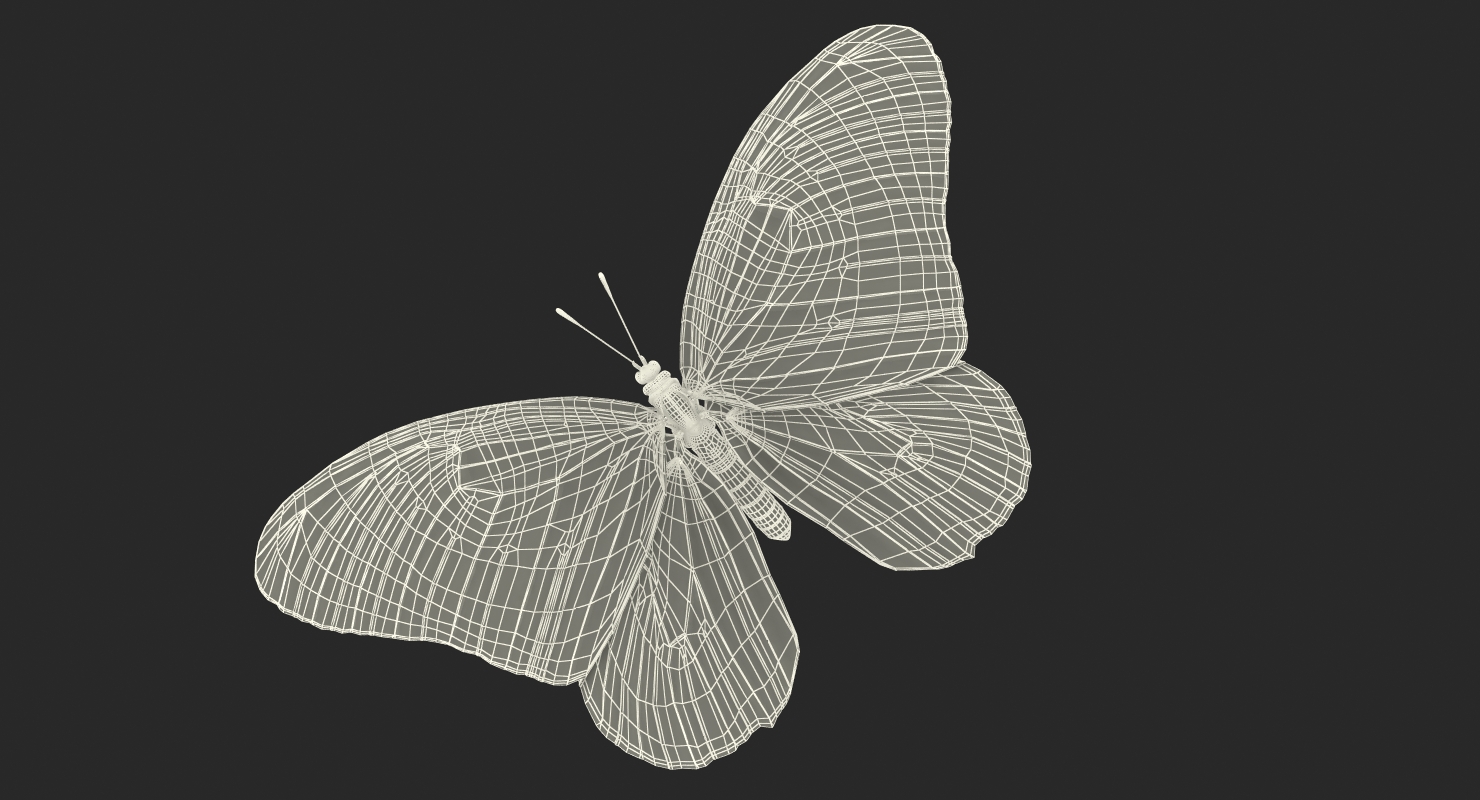 3D Monarch Butterfly with Fur