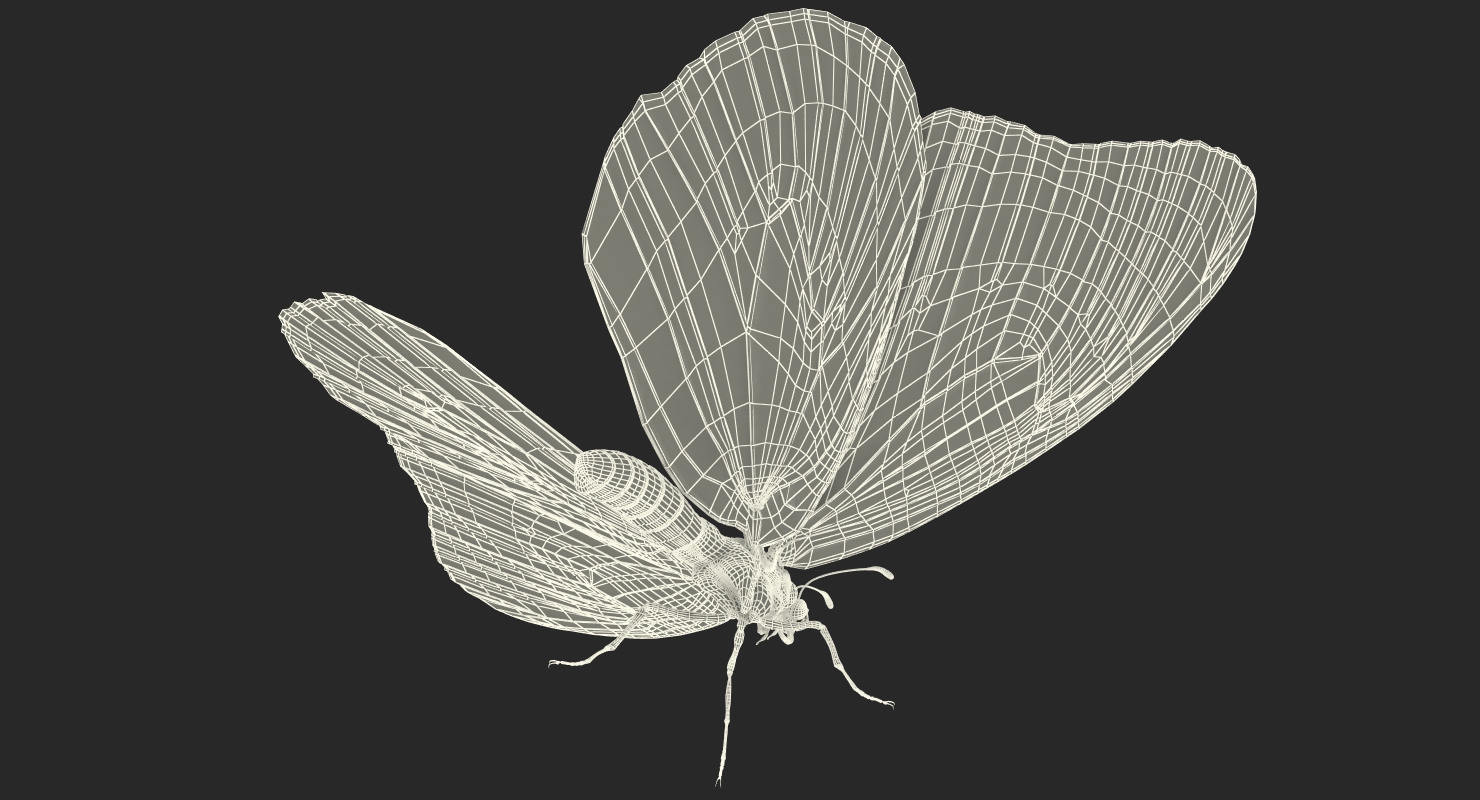 3D Monarch Butterfly with Fur