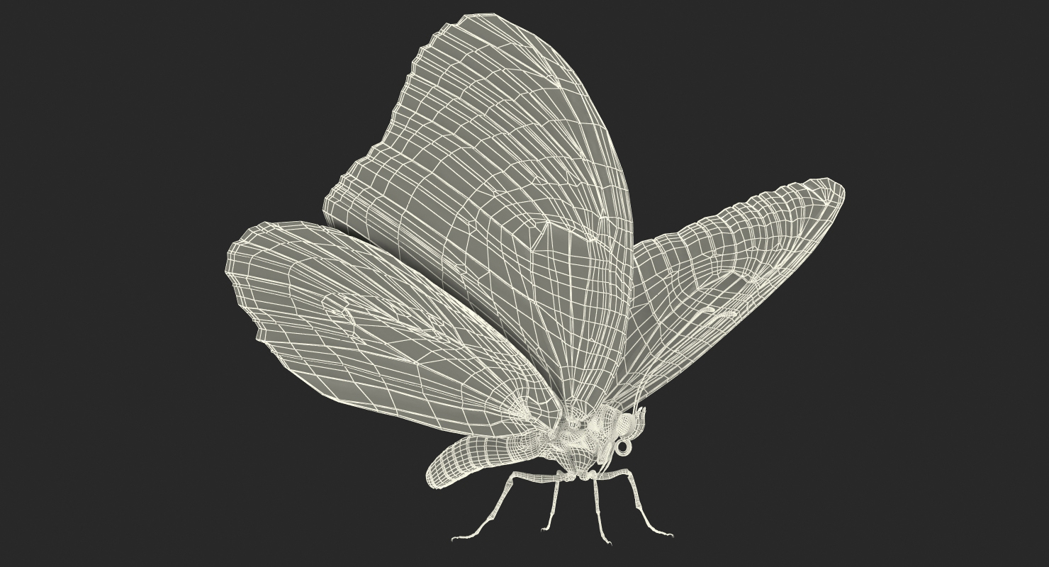 3D Monarch Butterfly with Fur