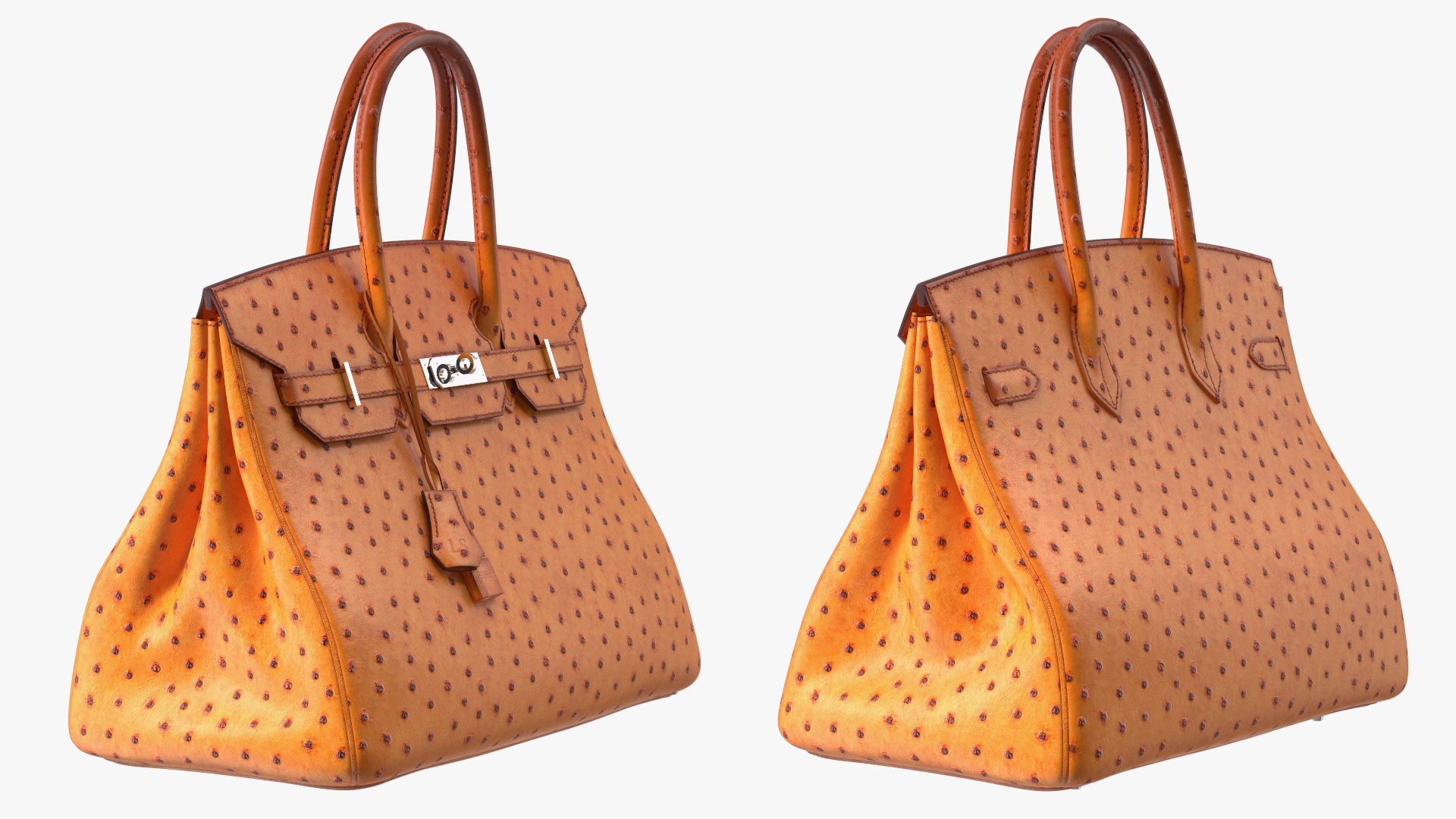 3D model Hermes Birkin Bag Ostrich