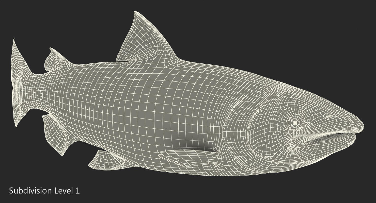 Animated Leaping Atlantic Salmon Fish Rigged 3D model
