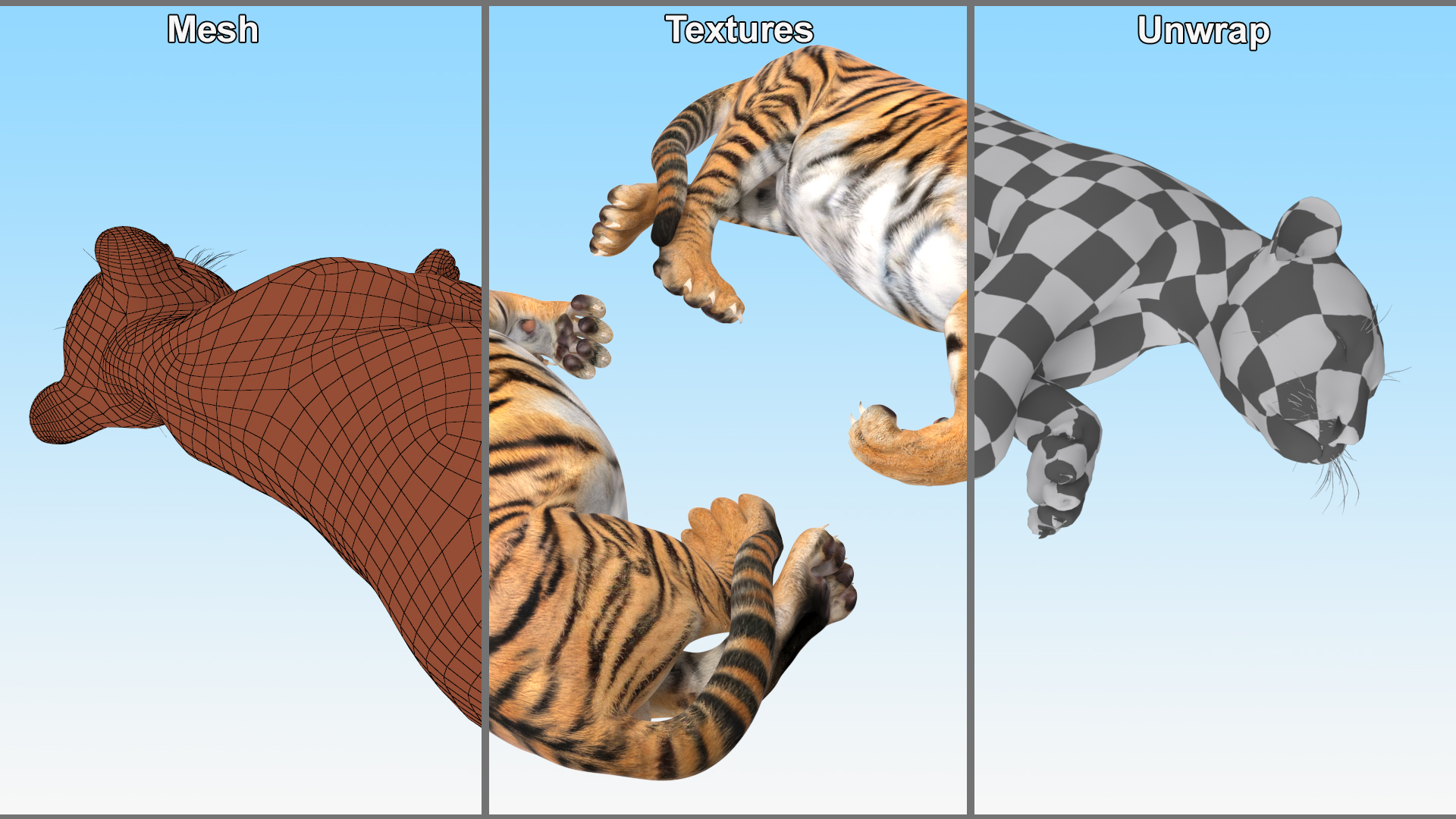 3D Tiger Cub Sleeping model