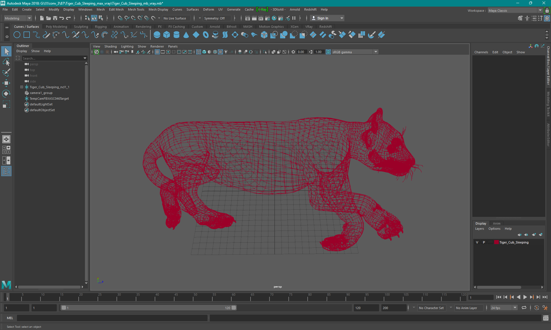 3D Tiger Cub Sleeping model