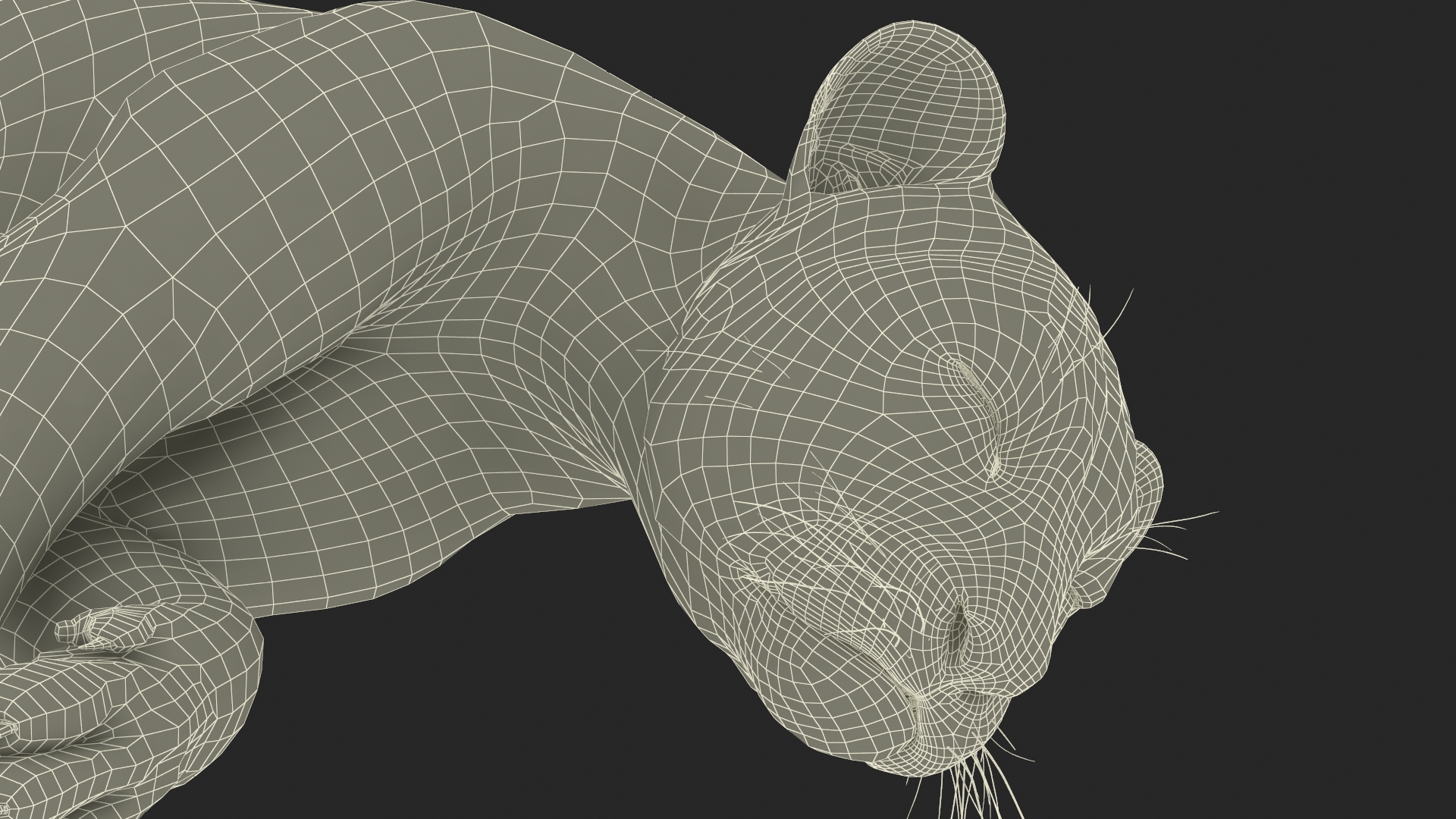 3D Tiger Cub Sleeping model