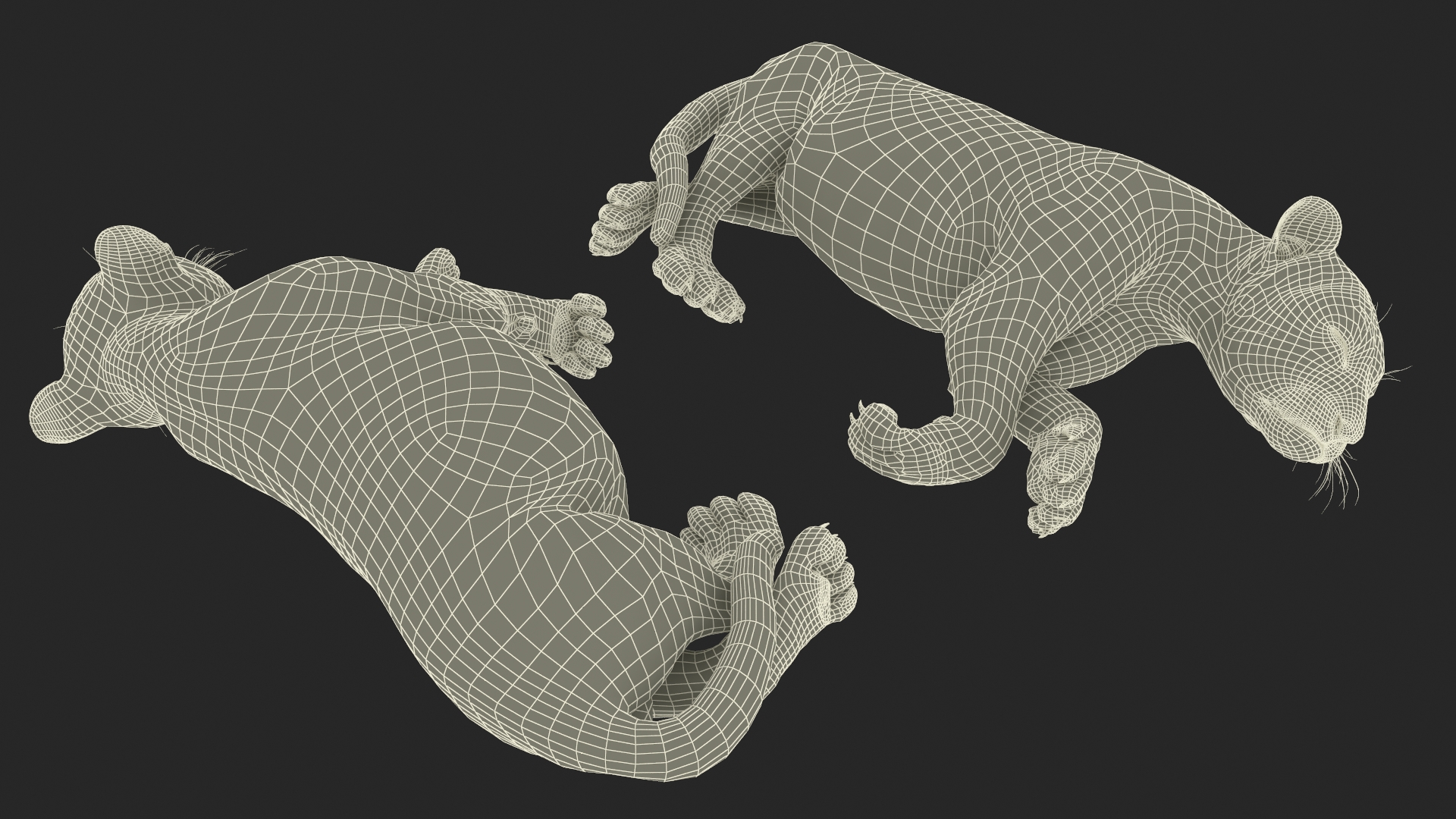 3D Tiger Cub Sleeping model
