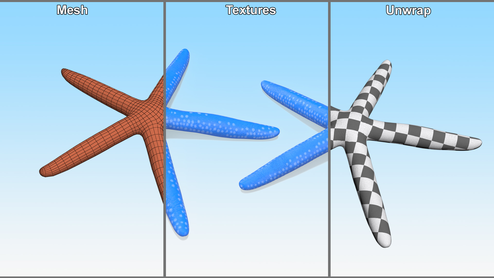 Blue Linckia Rigged 3D model