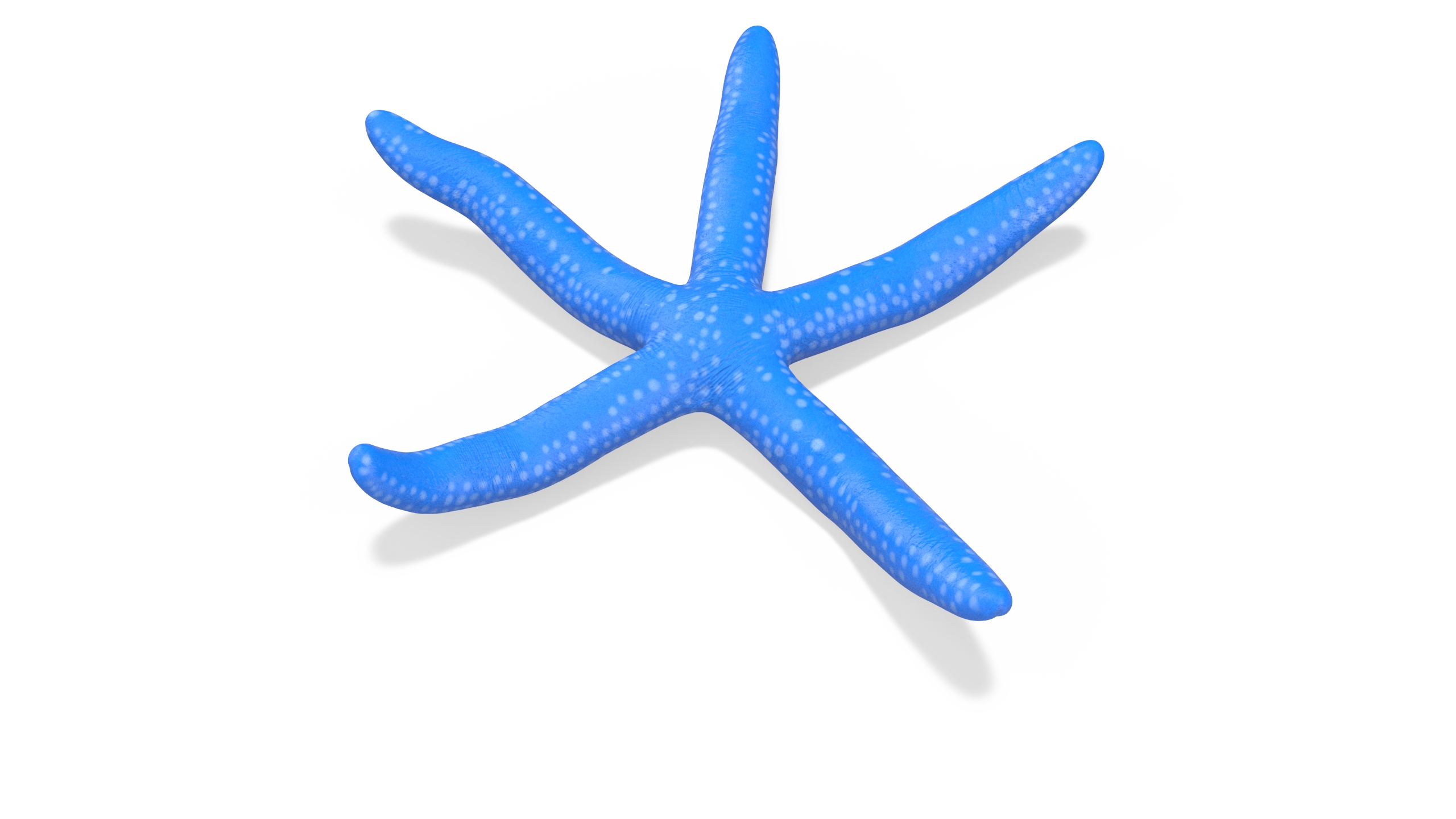 Blue Linckia Rigged 3D model